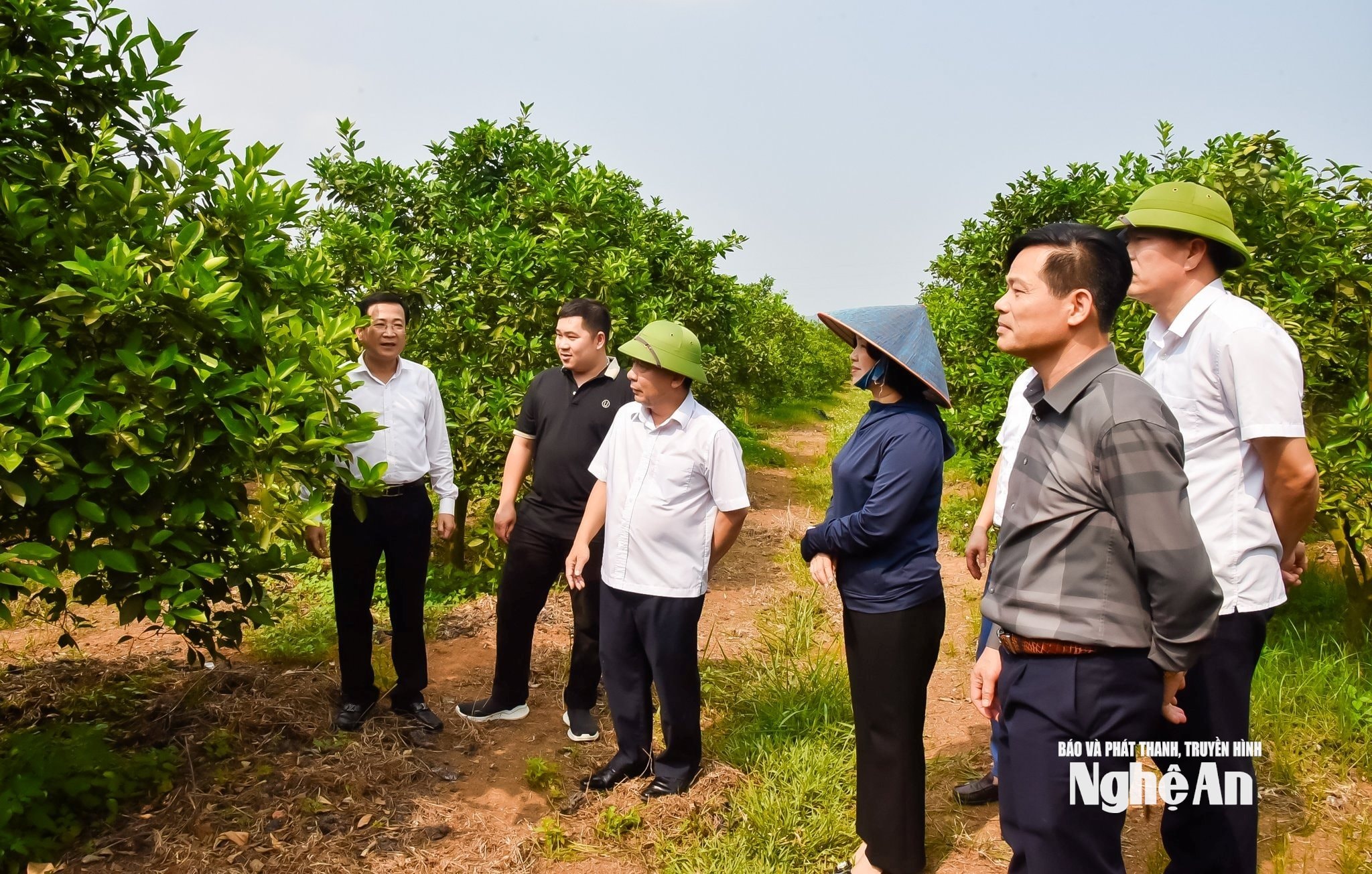 Phó Chủ tịch UBND tỉnh Nguyễn Văn Đệ đã đi kiểm tra thực tế các mô hình phát triển nông nghiệp ở các xã miền Tây Nghệ An. Ảnh: Thanh Lê