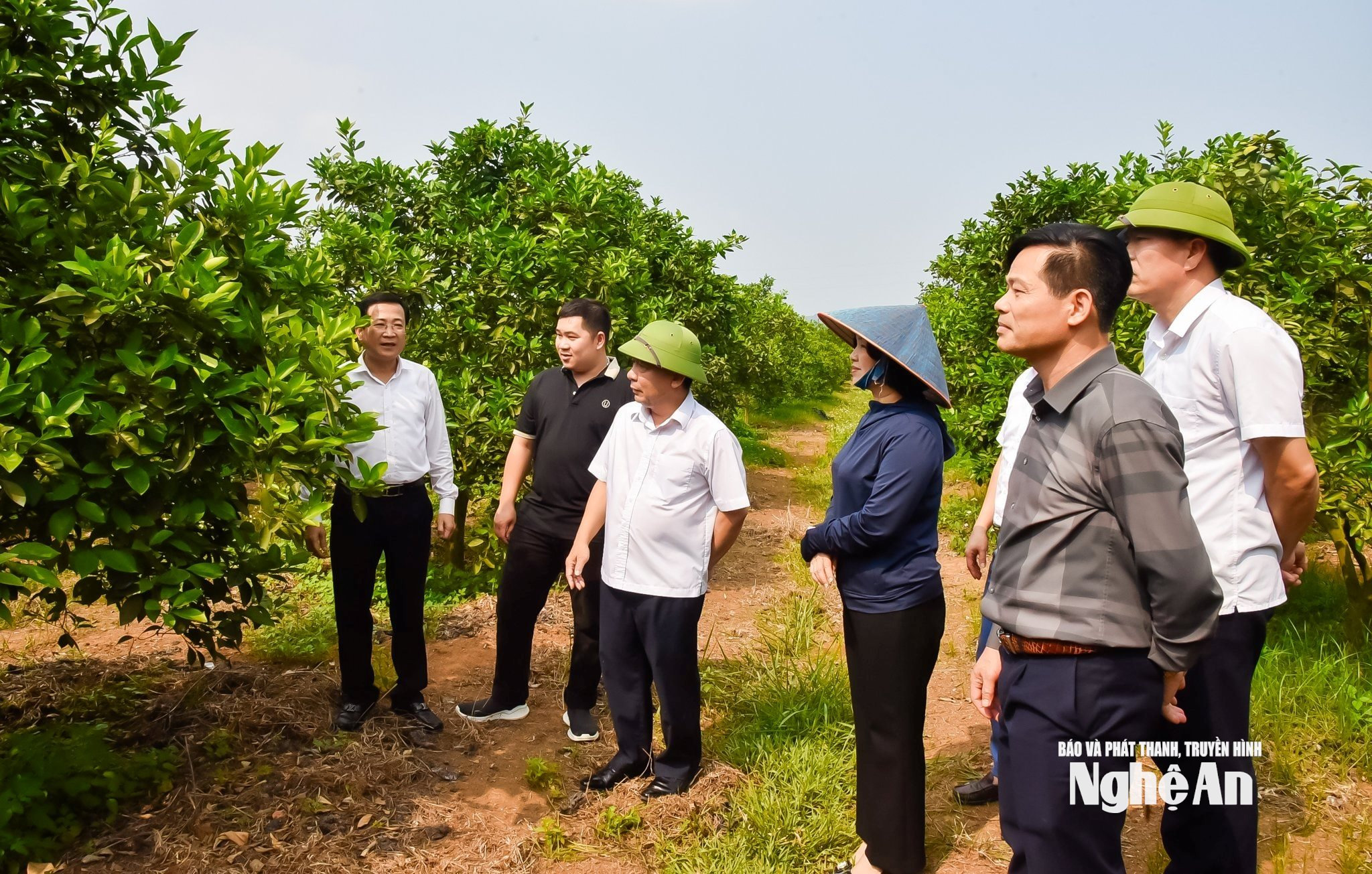 Phó Chủ tịch UBND tỉnh Nguyễn Văn Đệ đã đi kiểm tra thực tế các mô hình phát triển nông nghiệp ở các xã miền Tây Nghệ An. Ảnh: Thanh Lê