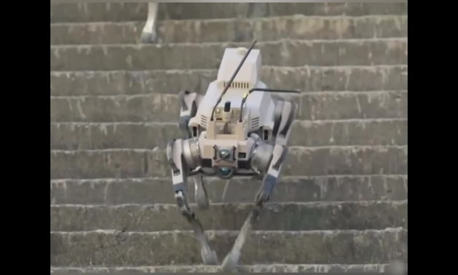 Robot 'chiến lang' Trung Quốc leo cầu thang, bắn súng trường
