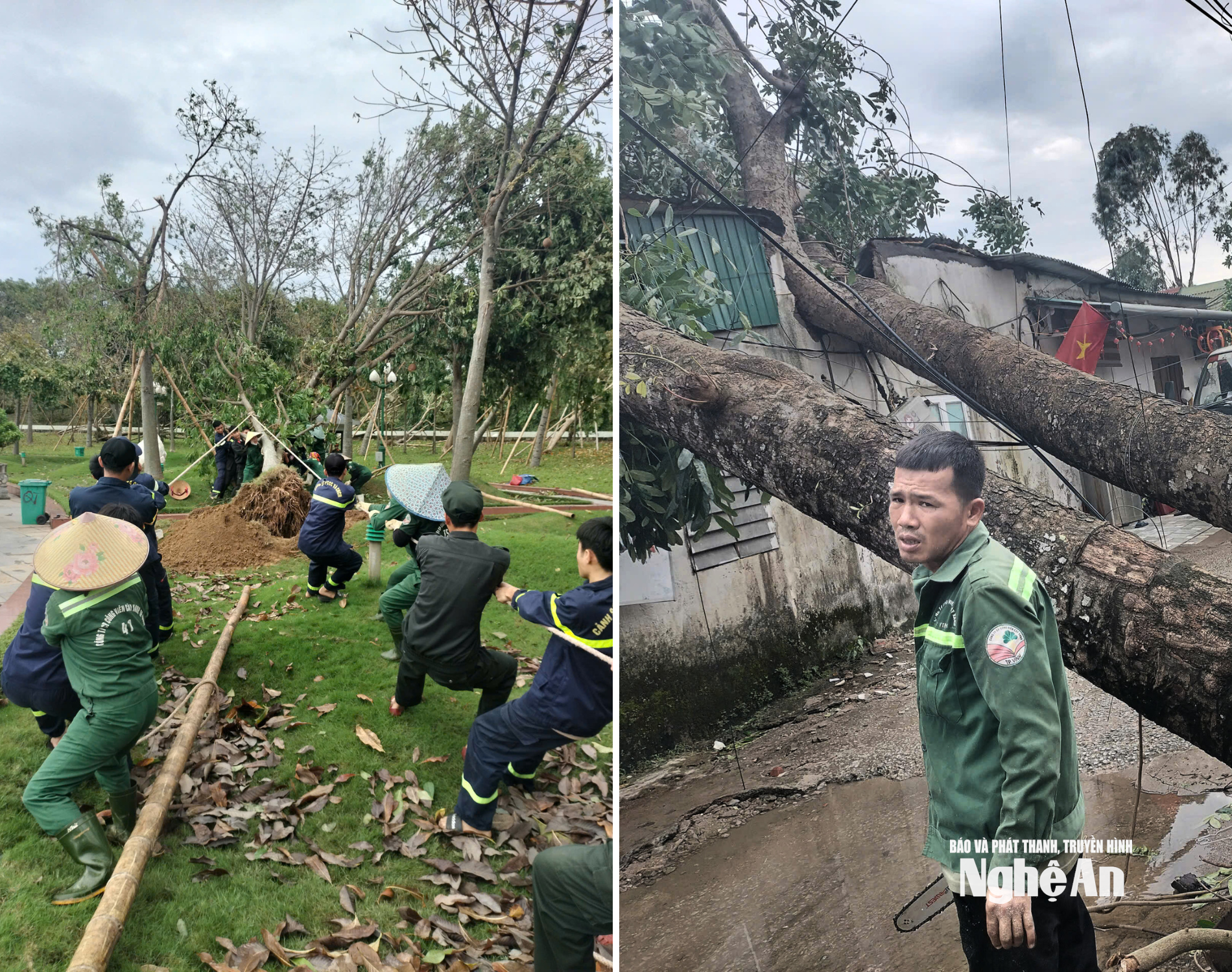 លោក Pham Anh Dung ក្រុមហ៊ុន Green Tree បានថតរូបនេះ។