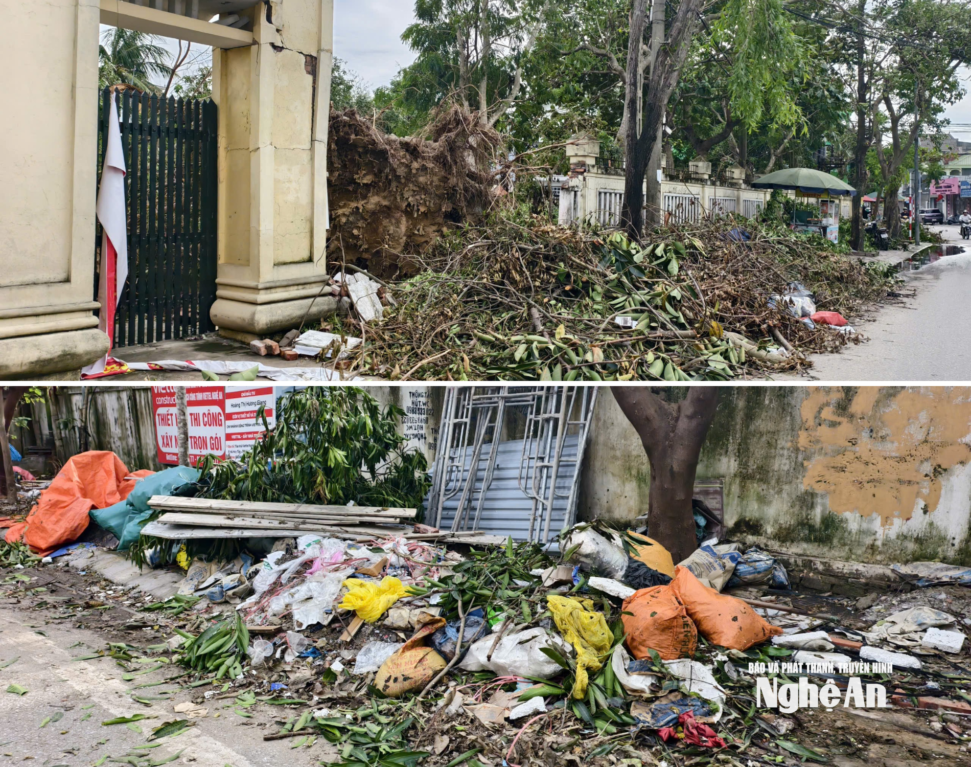 រញ៉េរញ៉ៃជាច្រើនថ្ងៃបន្ទាប់ពីព្យុះ រូបថត៖ Diep Thanh