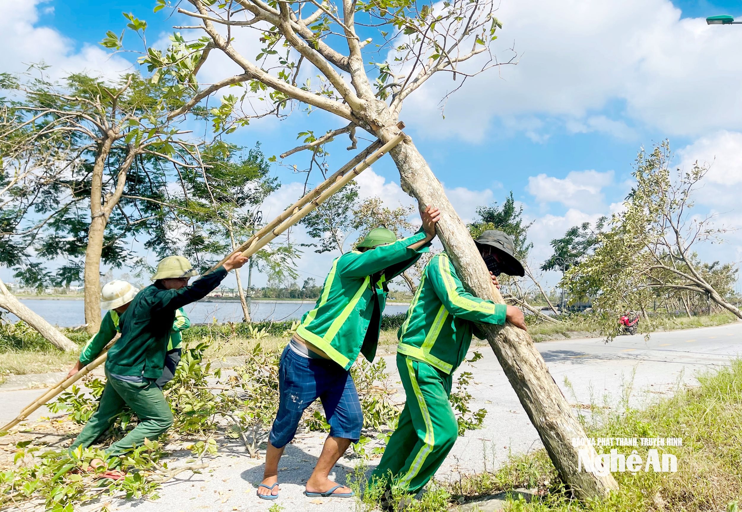 Các công nhân tập trung dựng lại cây gãy đổ sau bão trong ngày 4/9. Ảnh: Q.A