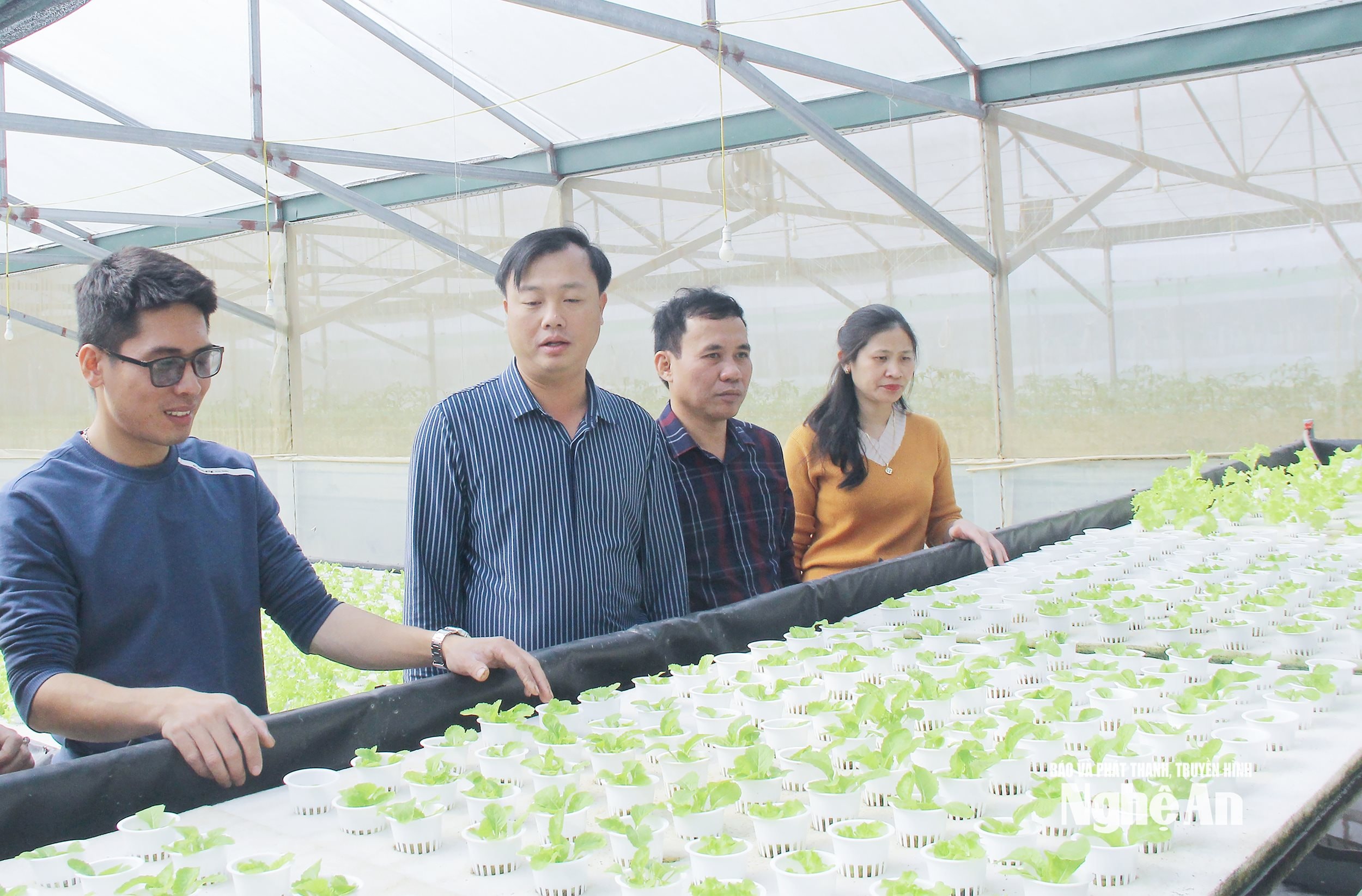  Lãnh đạo huyện Hưng Nguyên tìm hiểu hiệu quả sản xuất mô hình nông nghiệp công nghệ cao tại xã Hưng Lĩnh. Ảnh- Mai Hoa