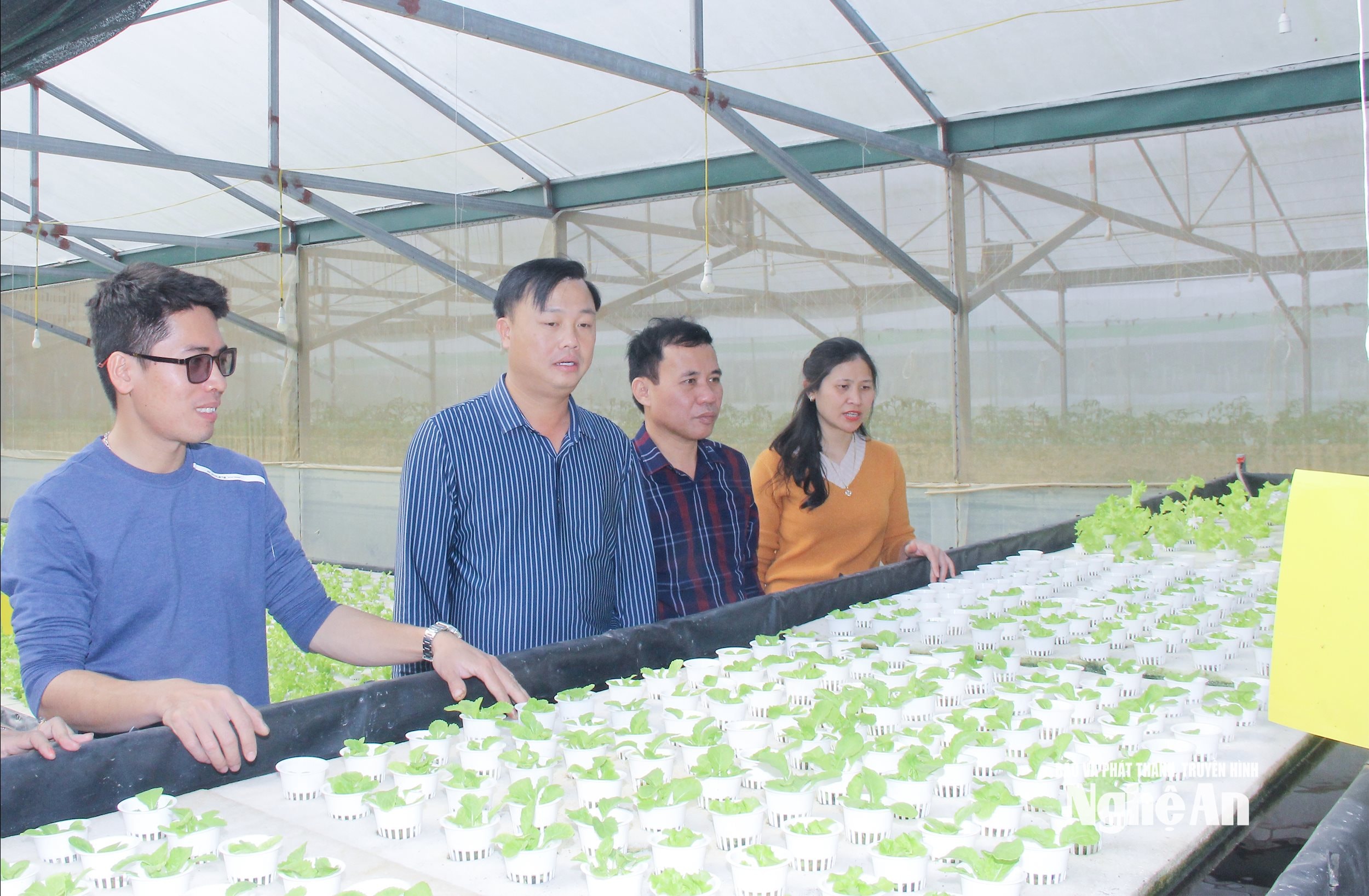 Lãnh đạo xã Hưng Nguyên Nam tìm hiểu mô hình sản xuất rau sạch trên địa bàn. Ảnh- Mai Hoa