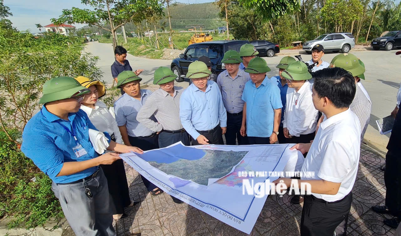 Kiểm tra thực địa