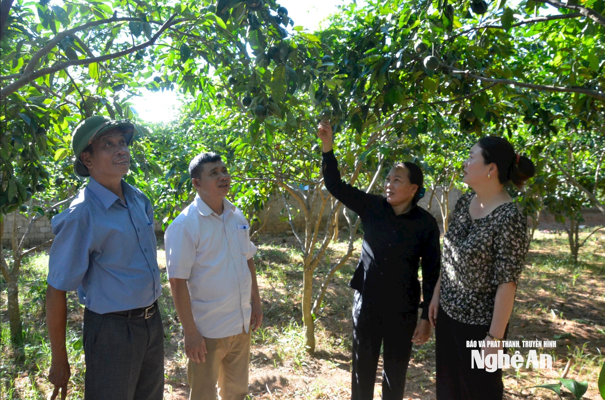 bna_uploaded-huuquanbna-2019_08_03-_bna_image_585783_382019.jpeg