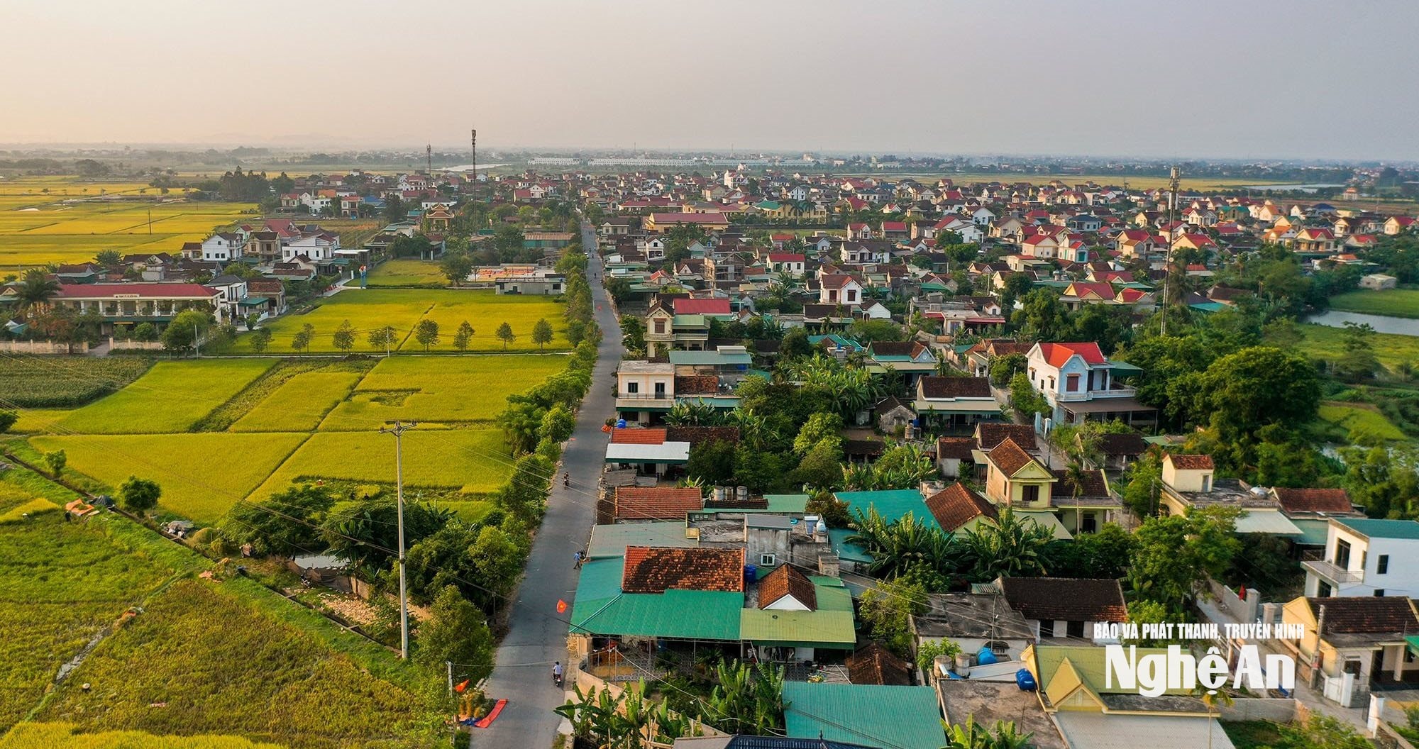 Vẻ đẹp làng quê Diễn Châu yên bình. Ảnh: Sách Nguyễn