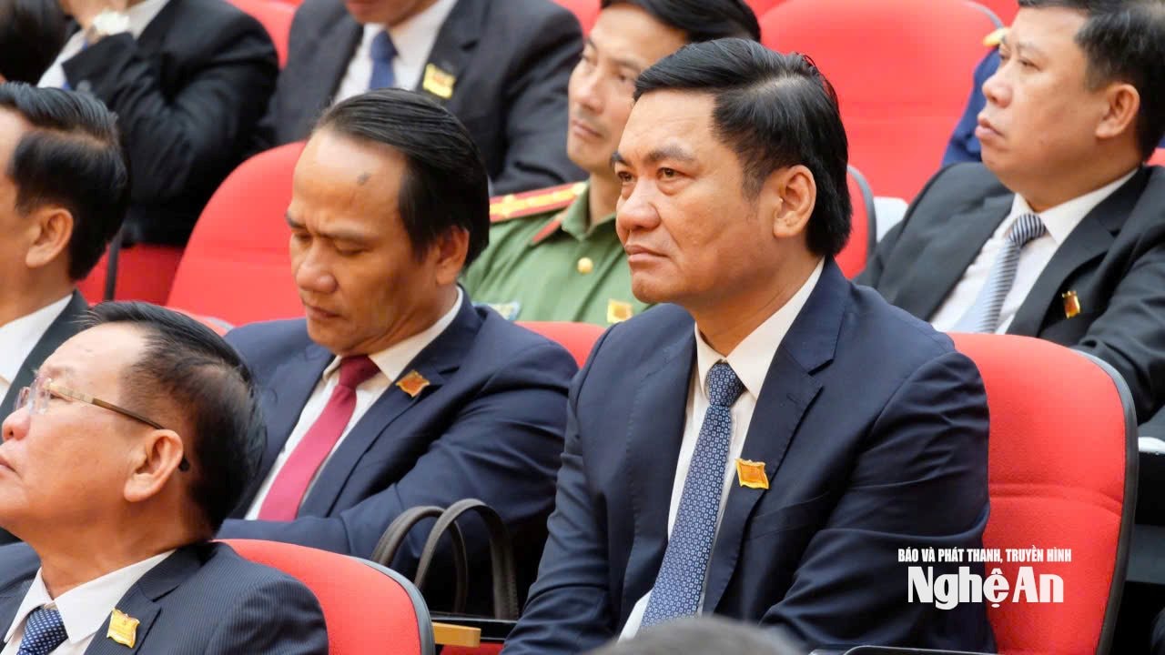  anh 11