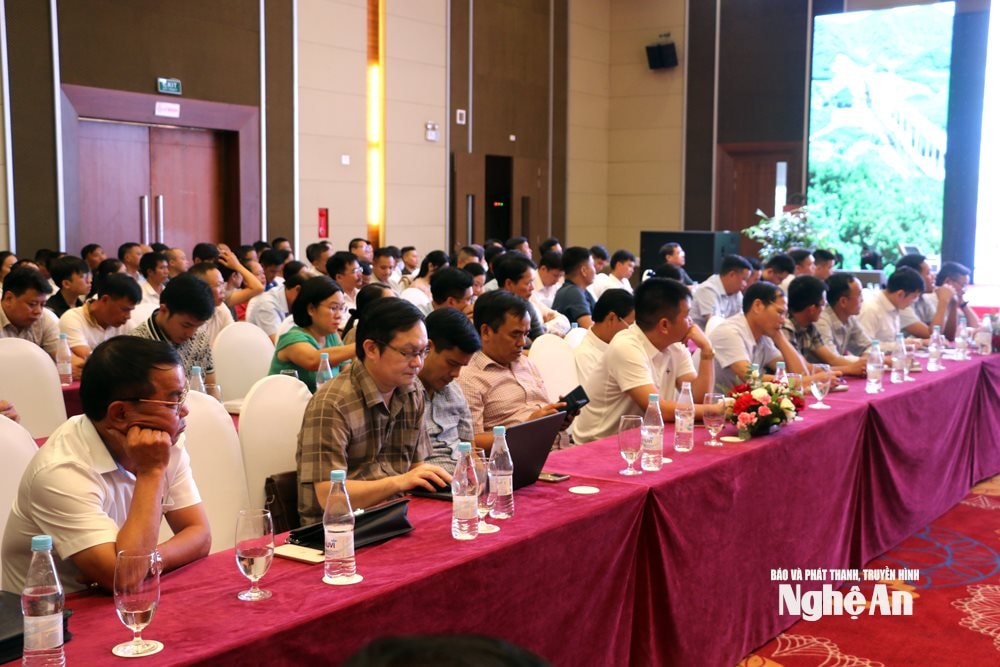 Đại biểu dư