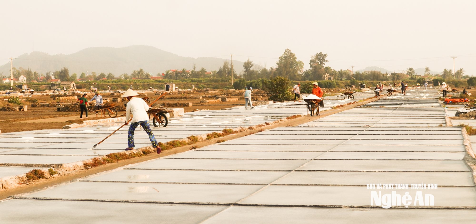 Cánh đồng muối ở Quỳnh Phú.