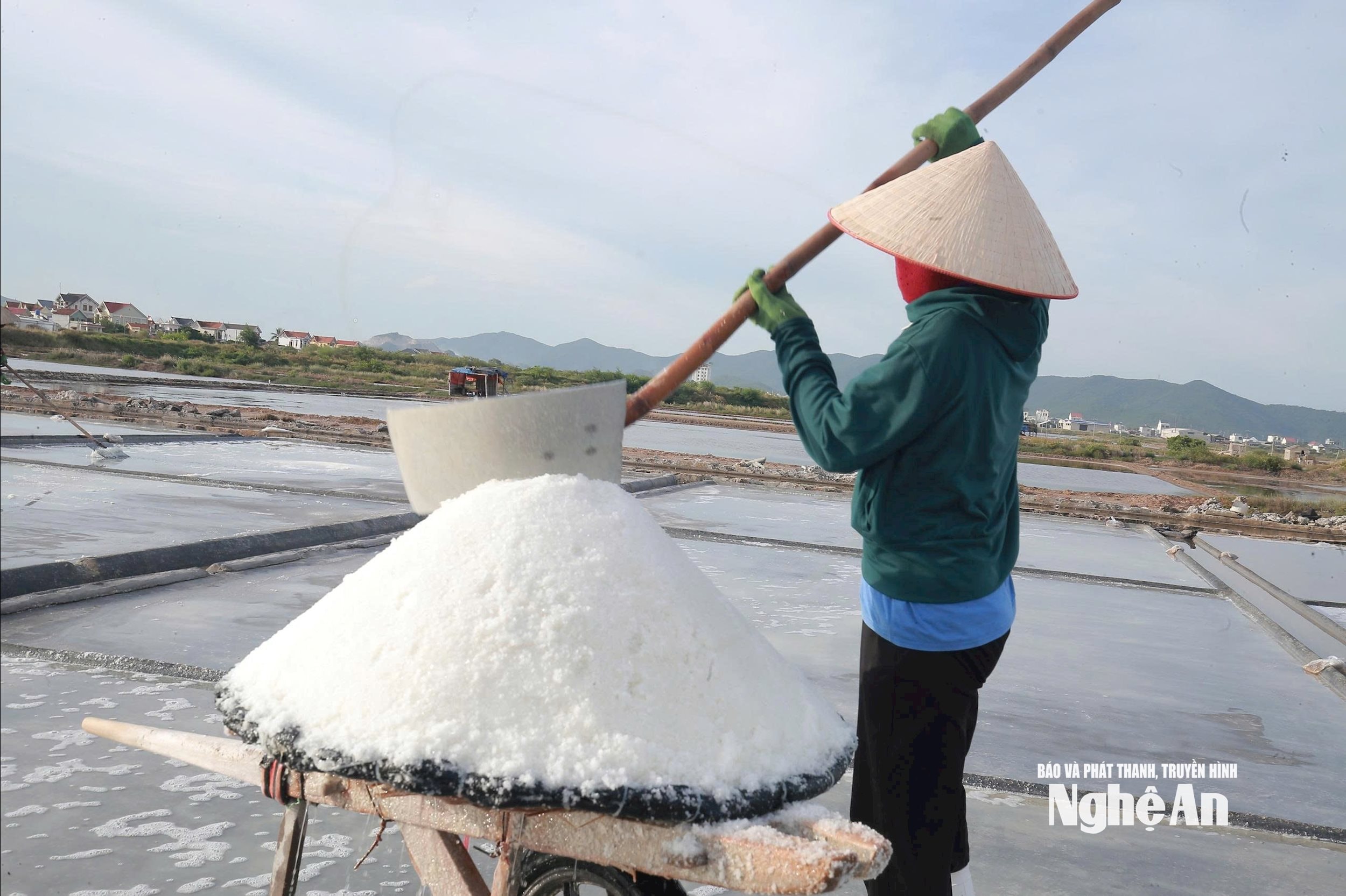 Muối phơi cát truyền thống hiện đang cạnh tranh khốc liệt với muối công nghệp