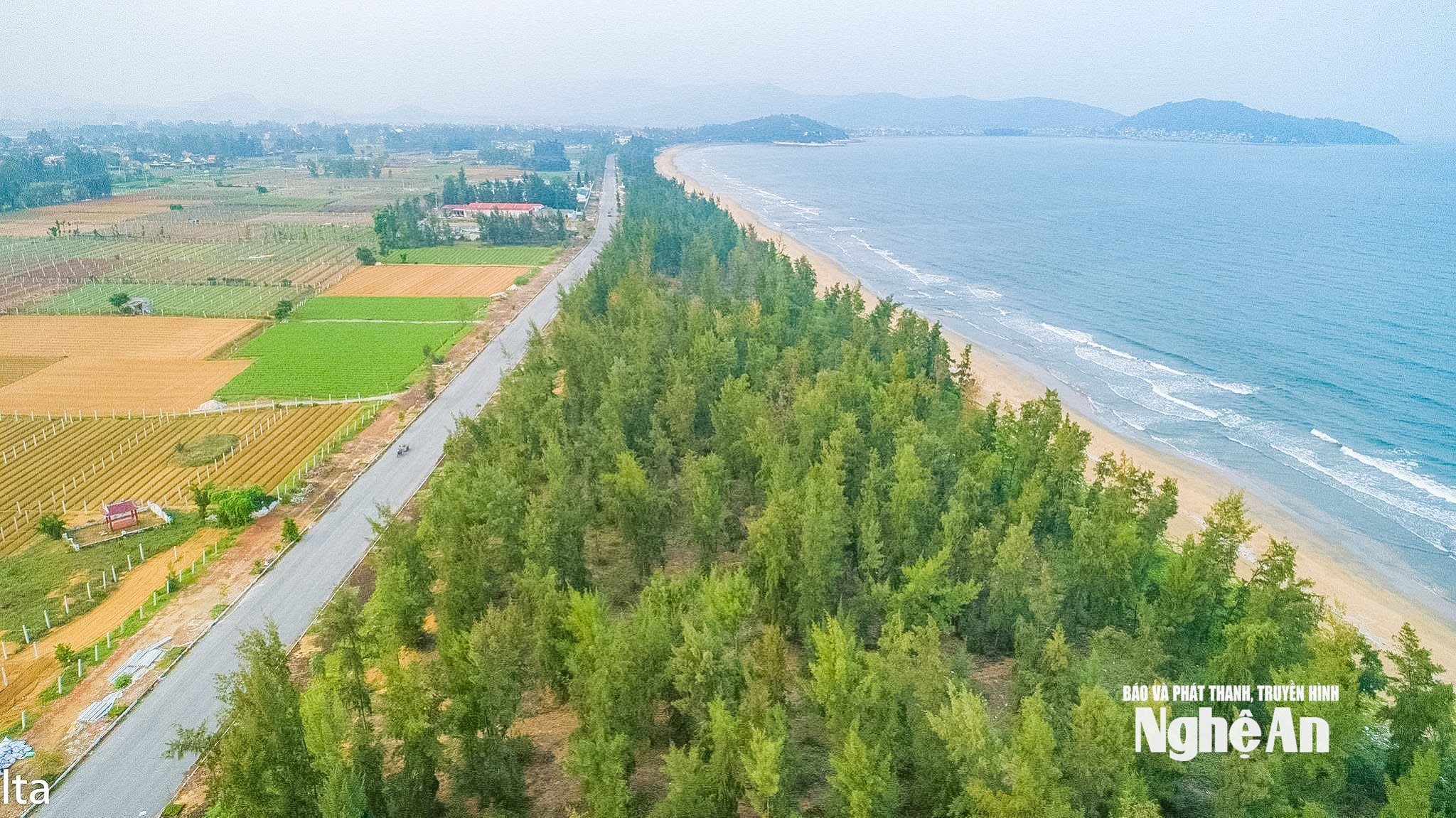 quỳnh mai 2