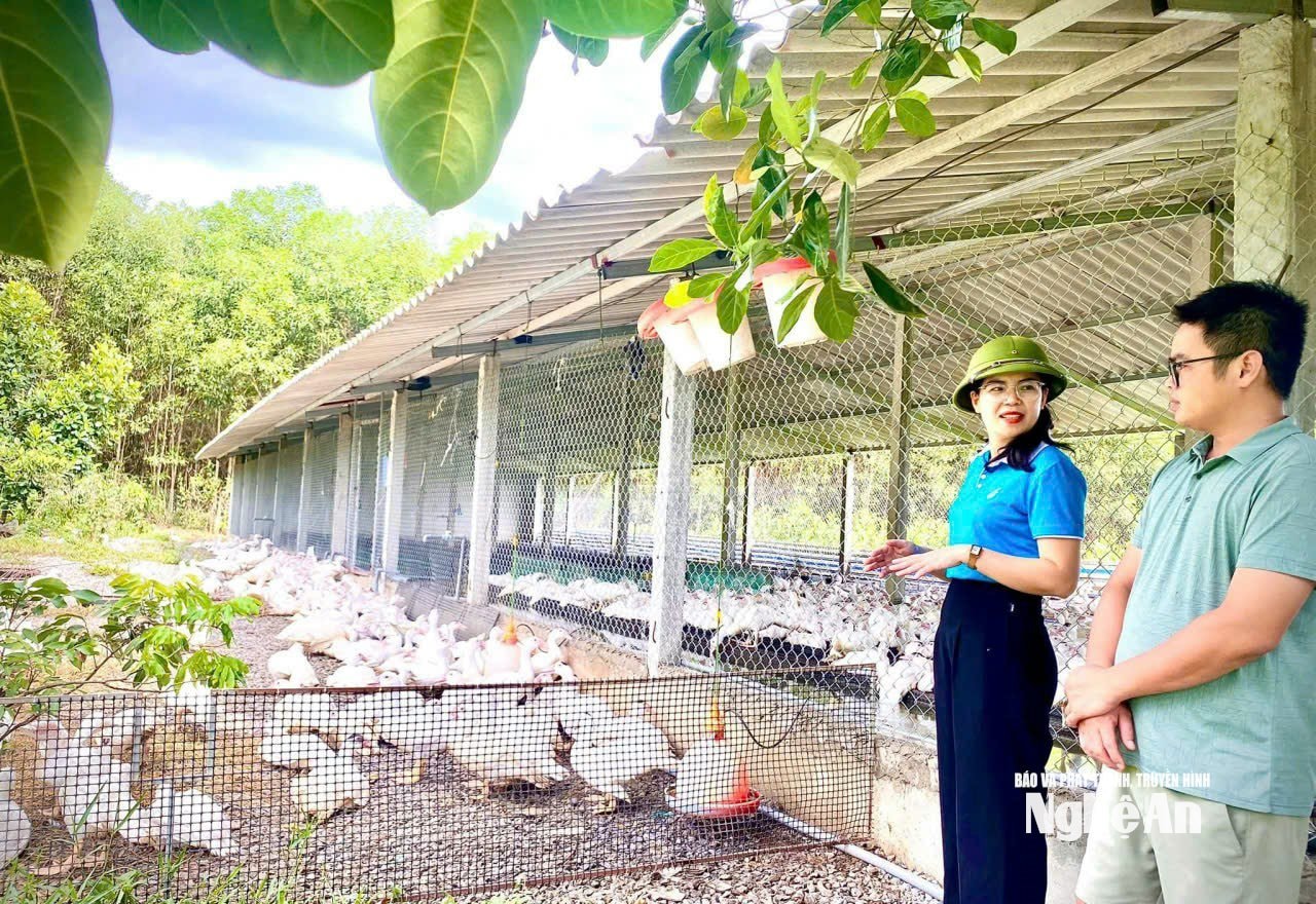 kinh tế nông nghiệp