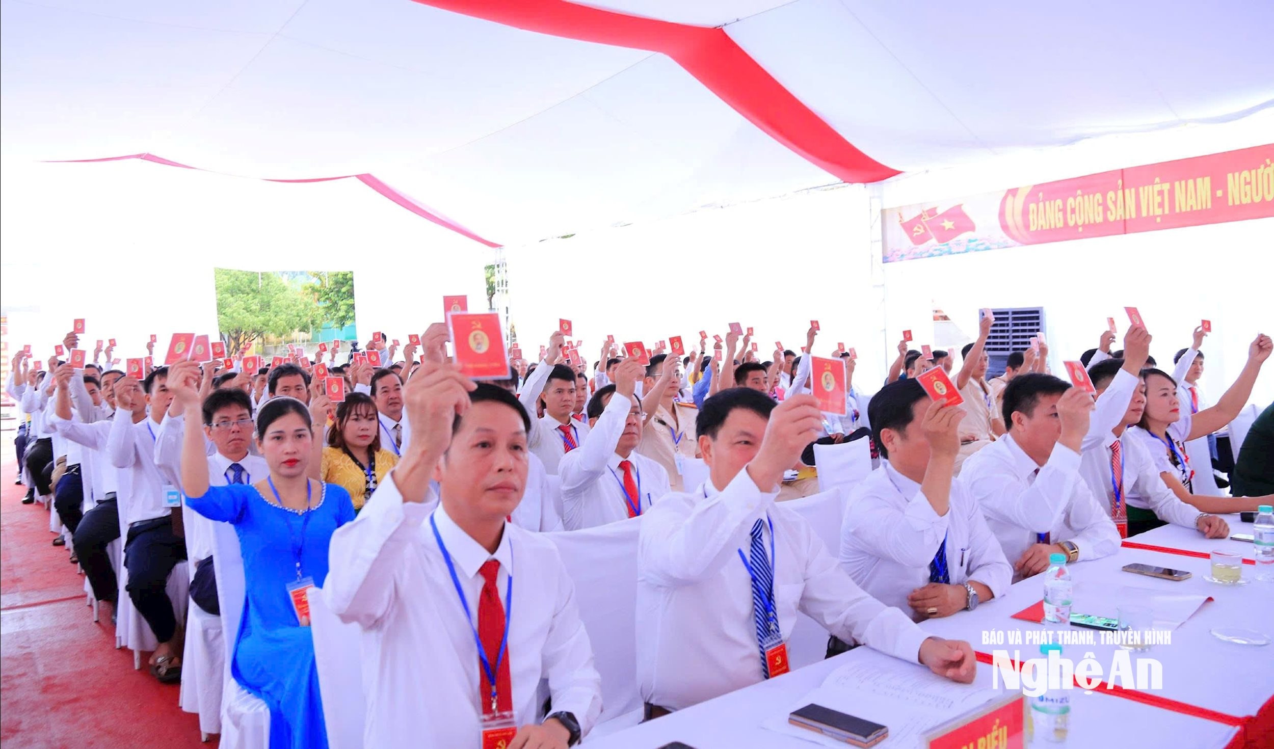 NK mới