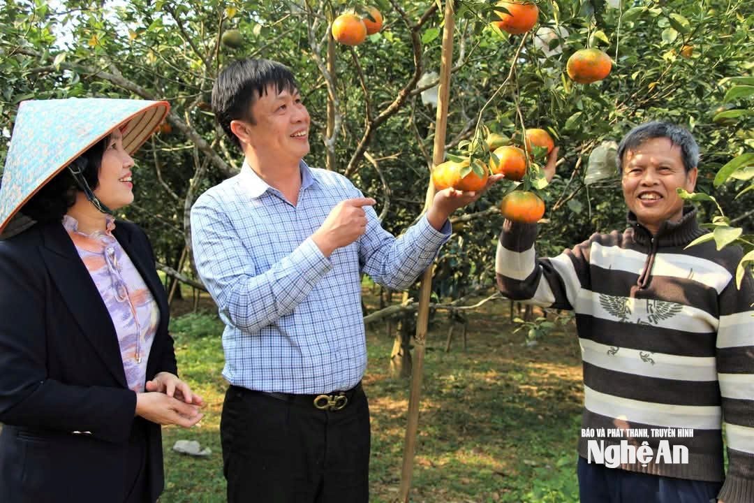  CÁT NGẠN17