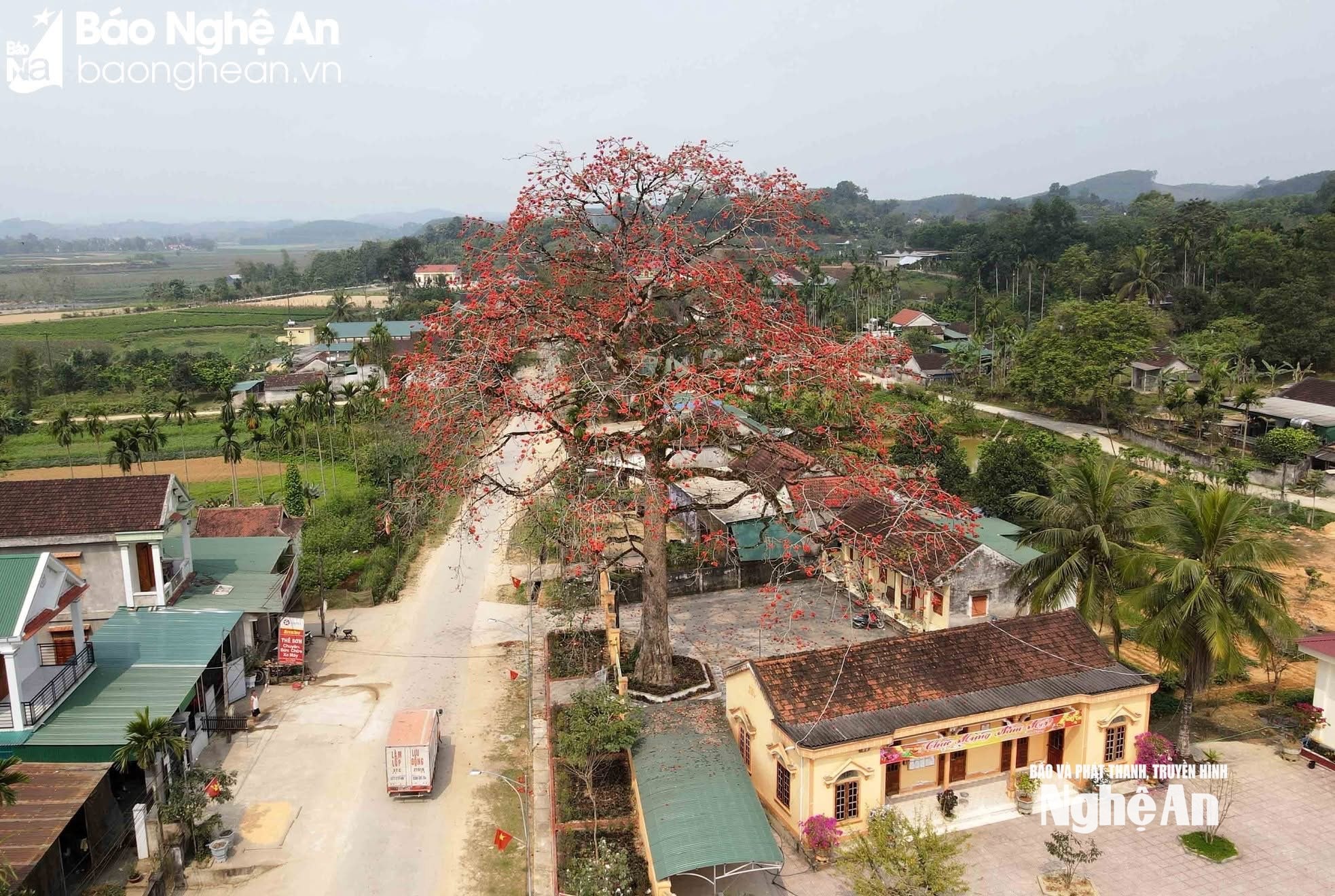  CÁT NGẠN9