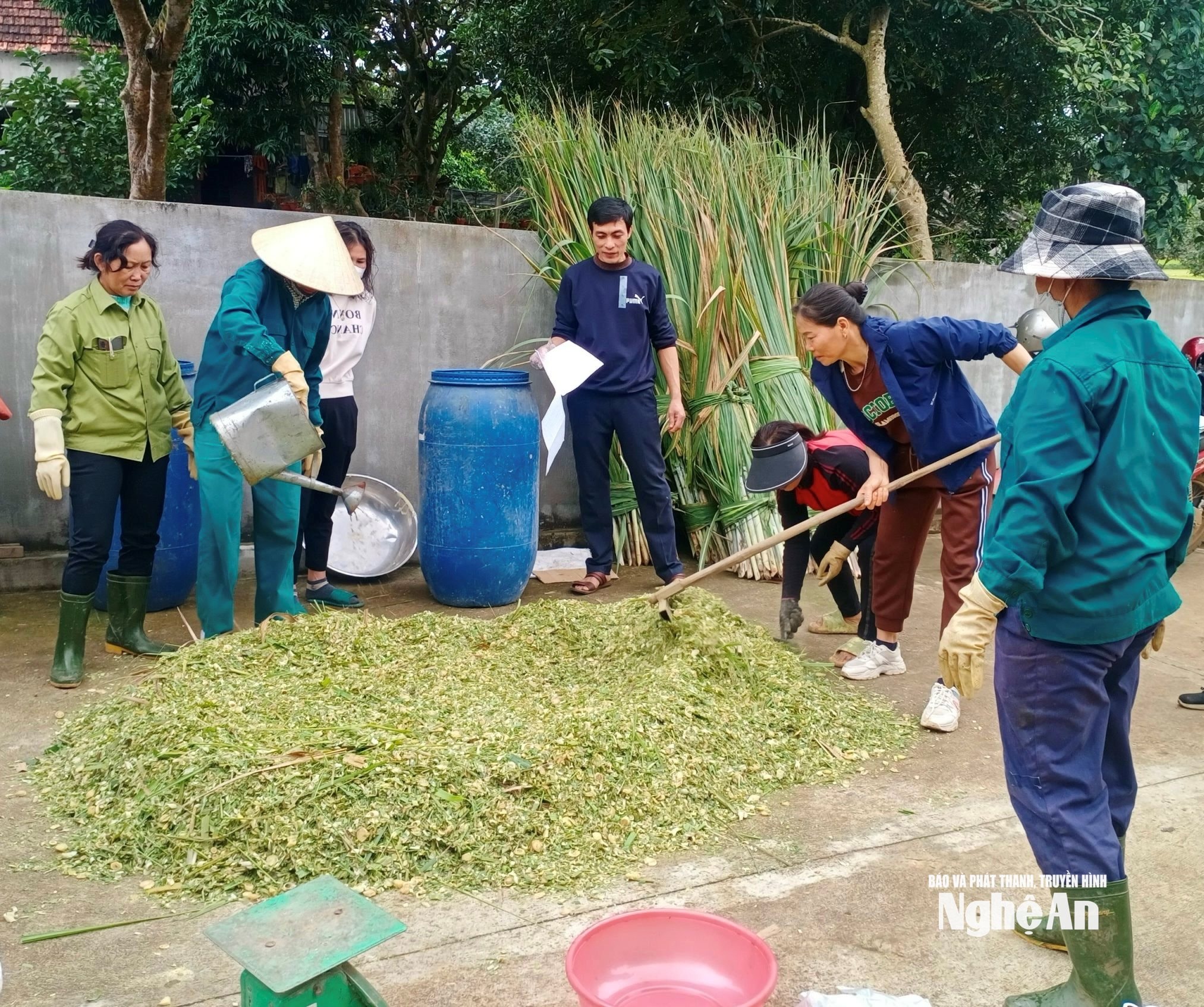  hướng dẫn nông dân