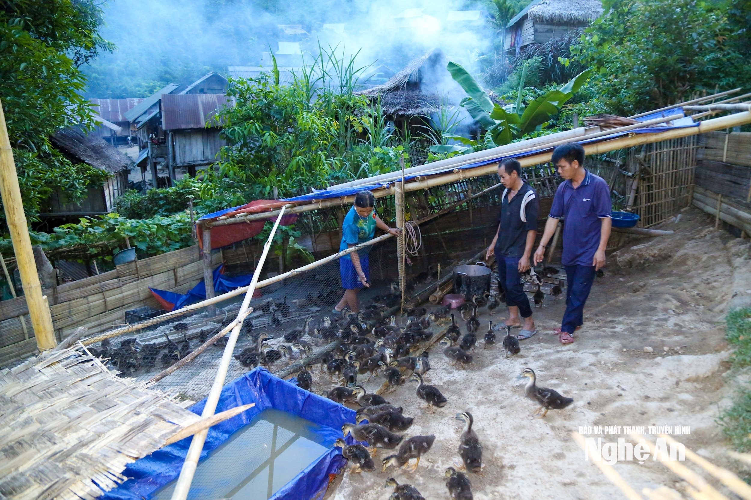 5.ảnh pv