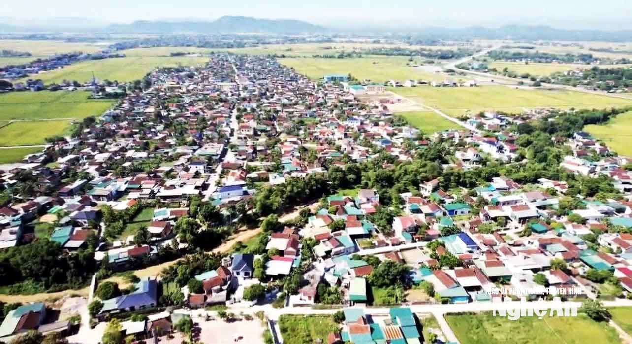 quan thành 1