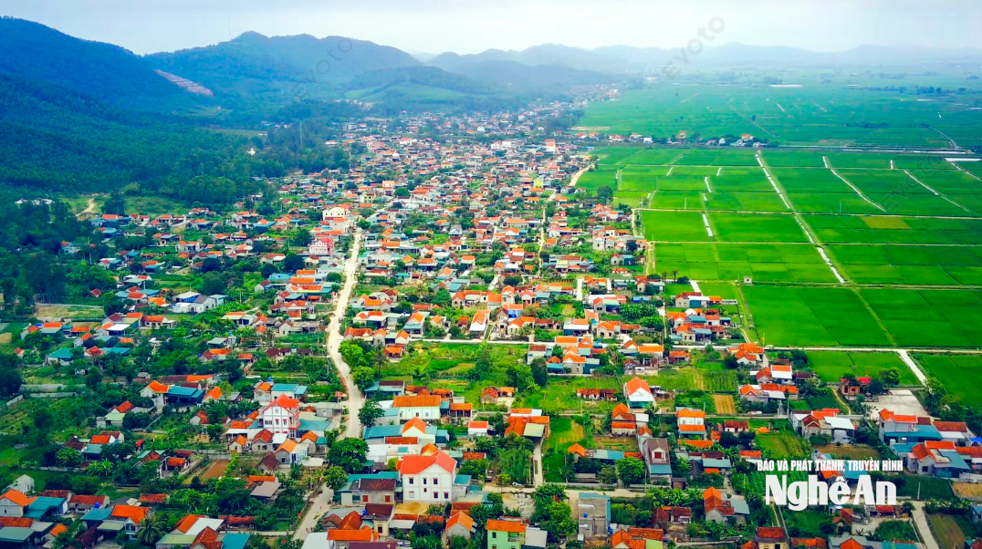 Quỳnh Sơn 1
