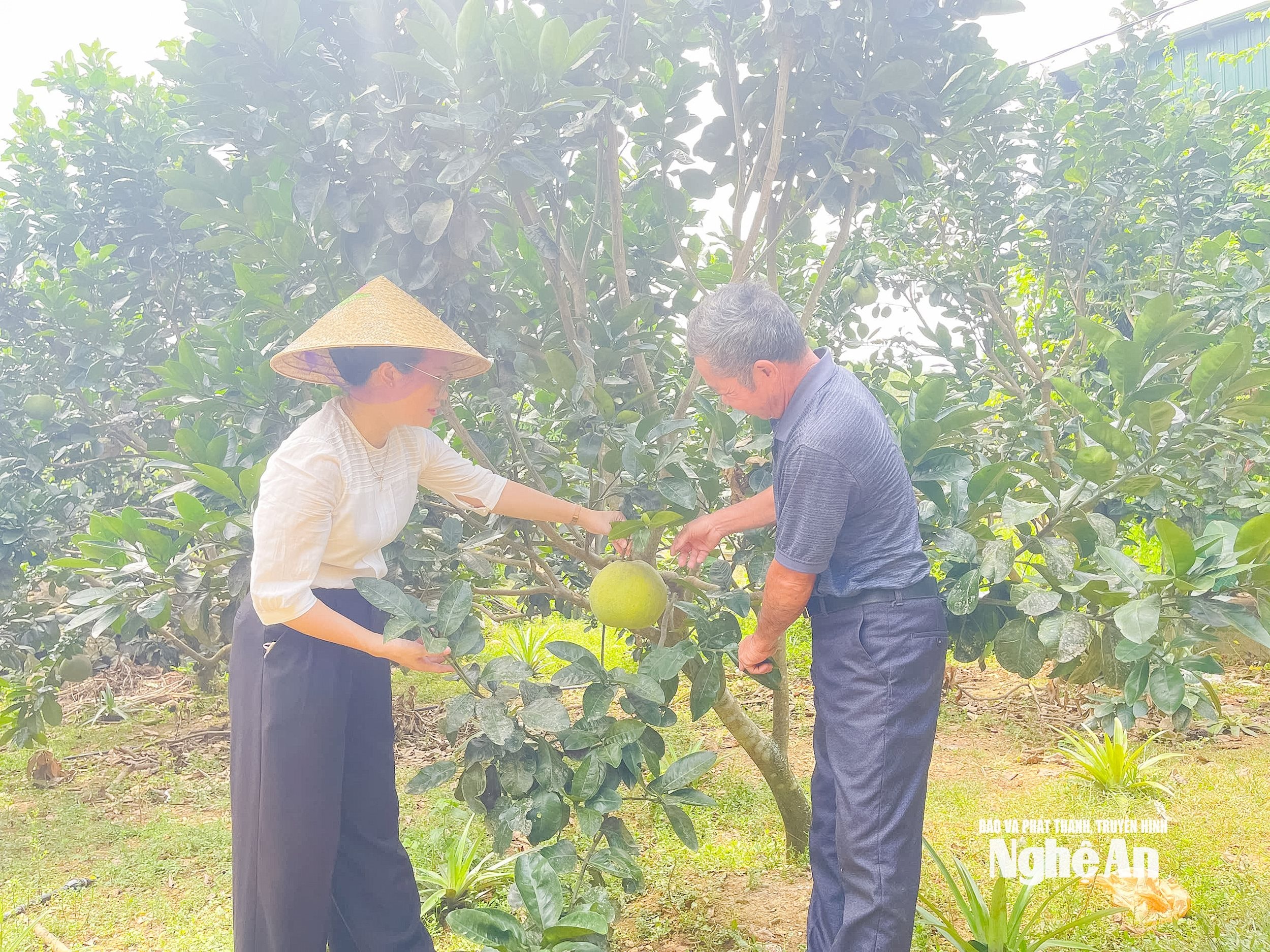  kinh tế