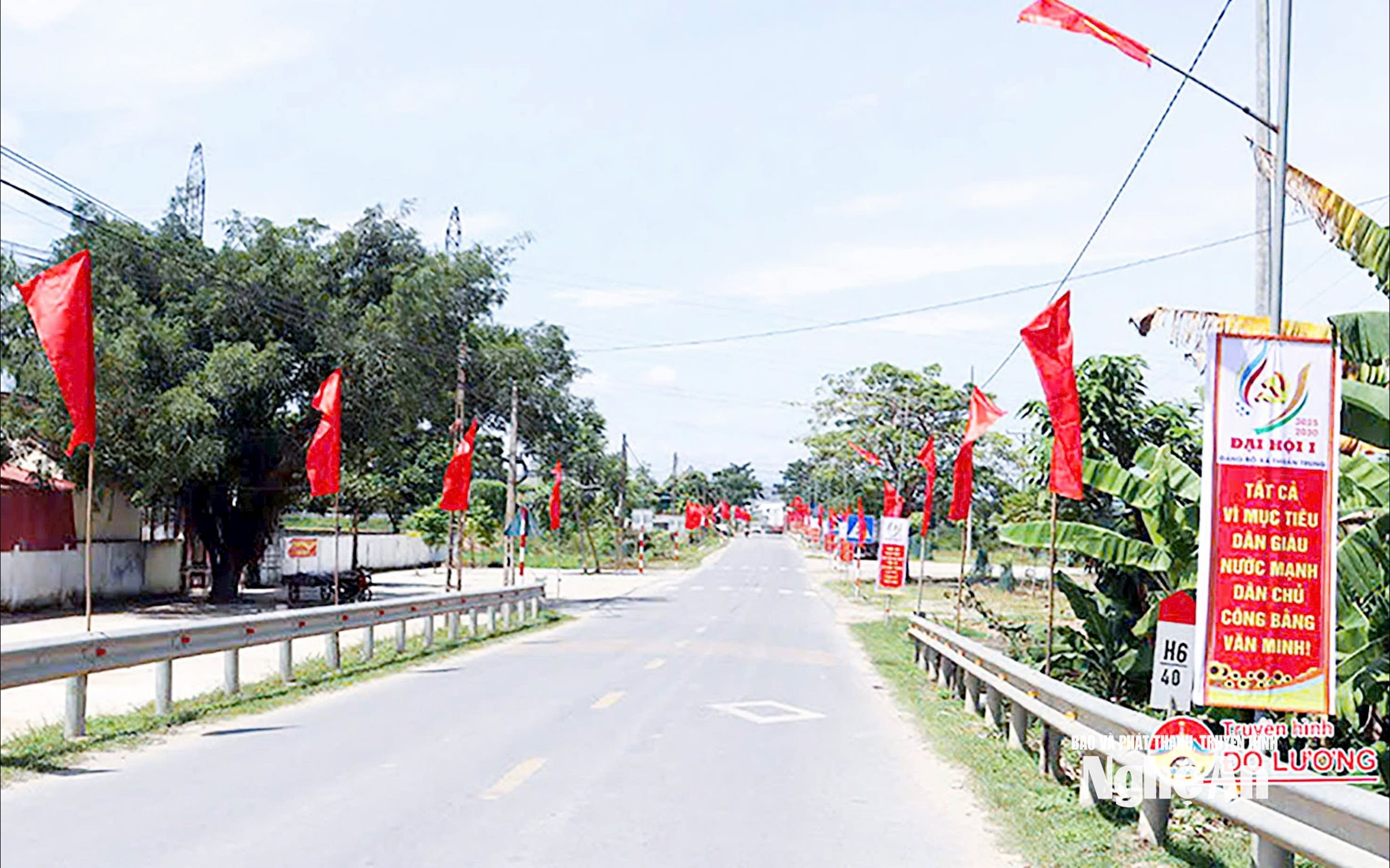  thuần trung 1