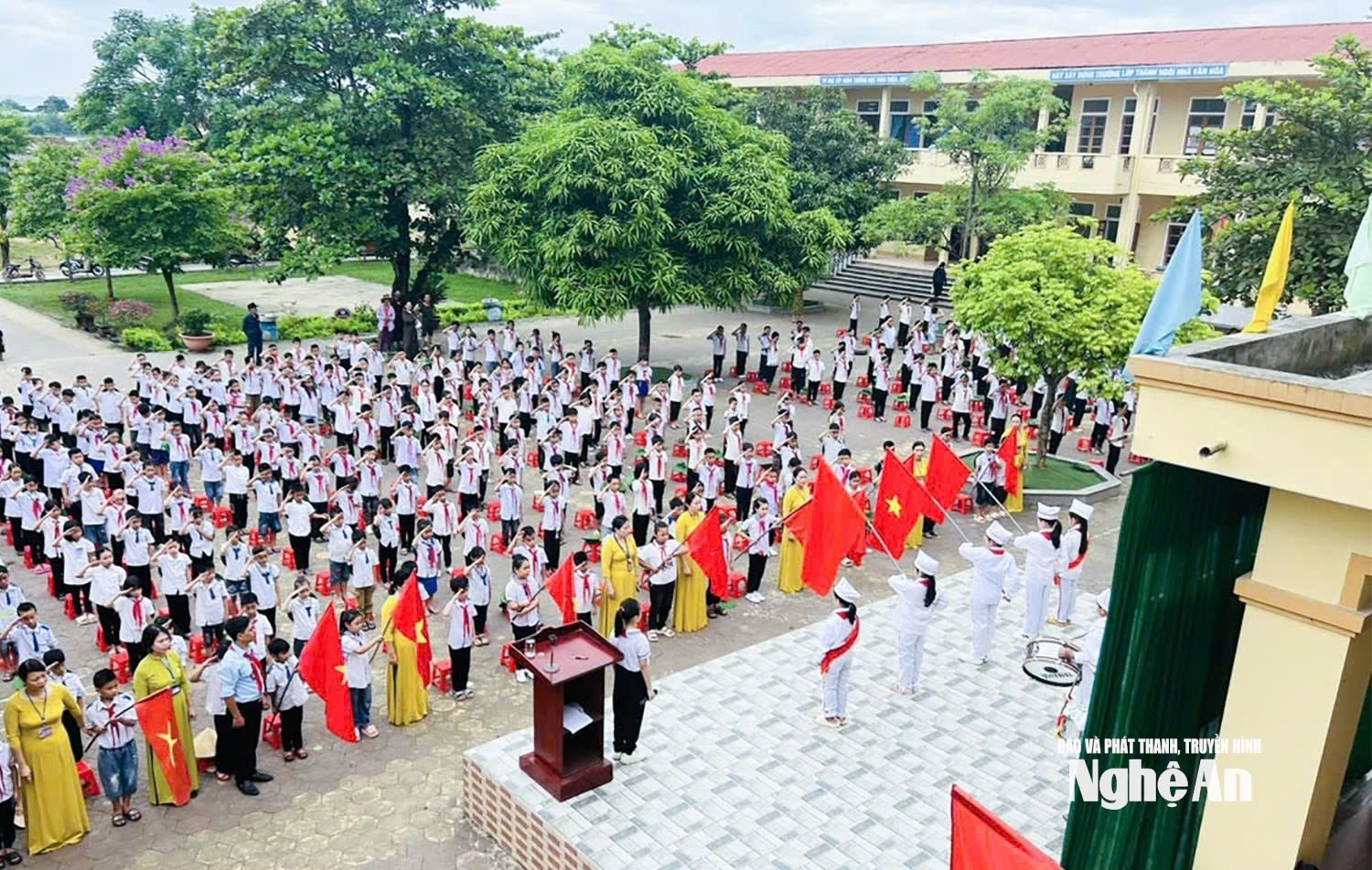  thuần trung 3