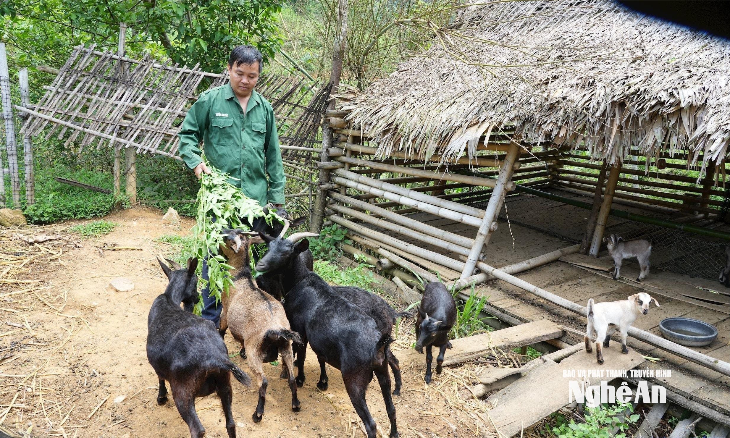 12.ảnh pv