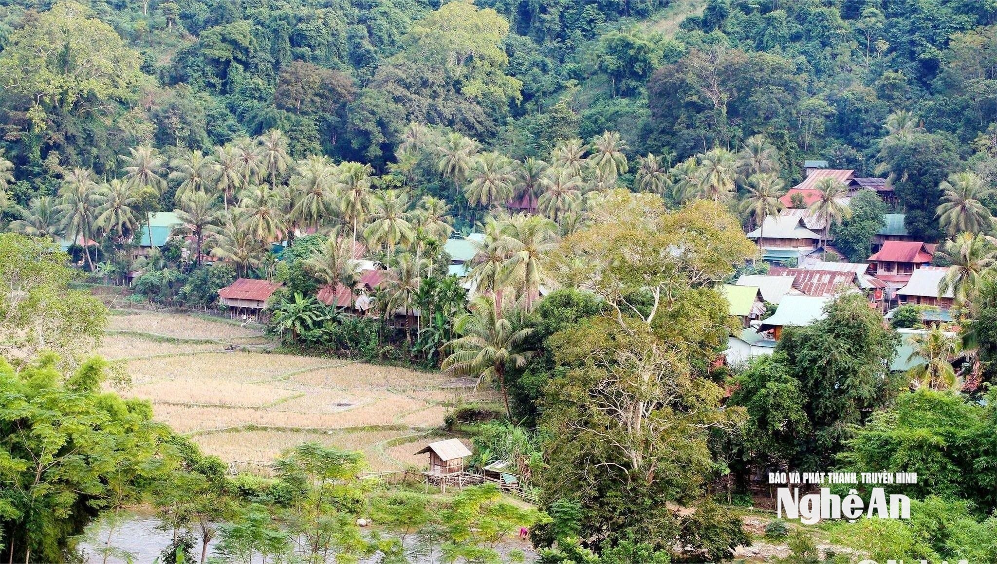 2.ảnh pv