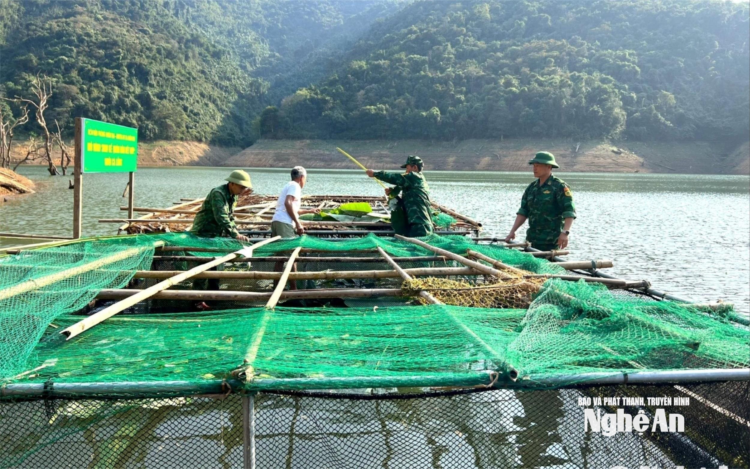 3.ảnh pv