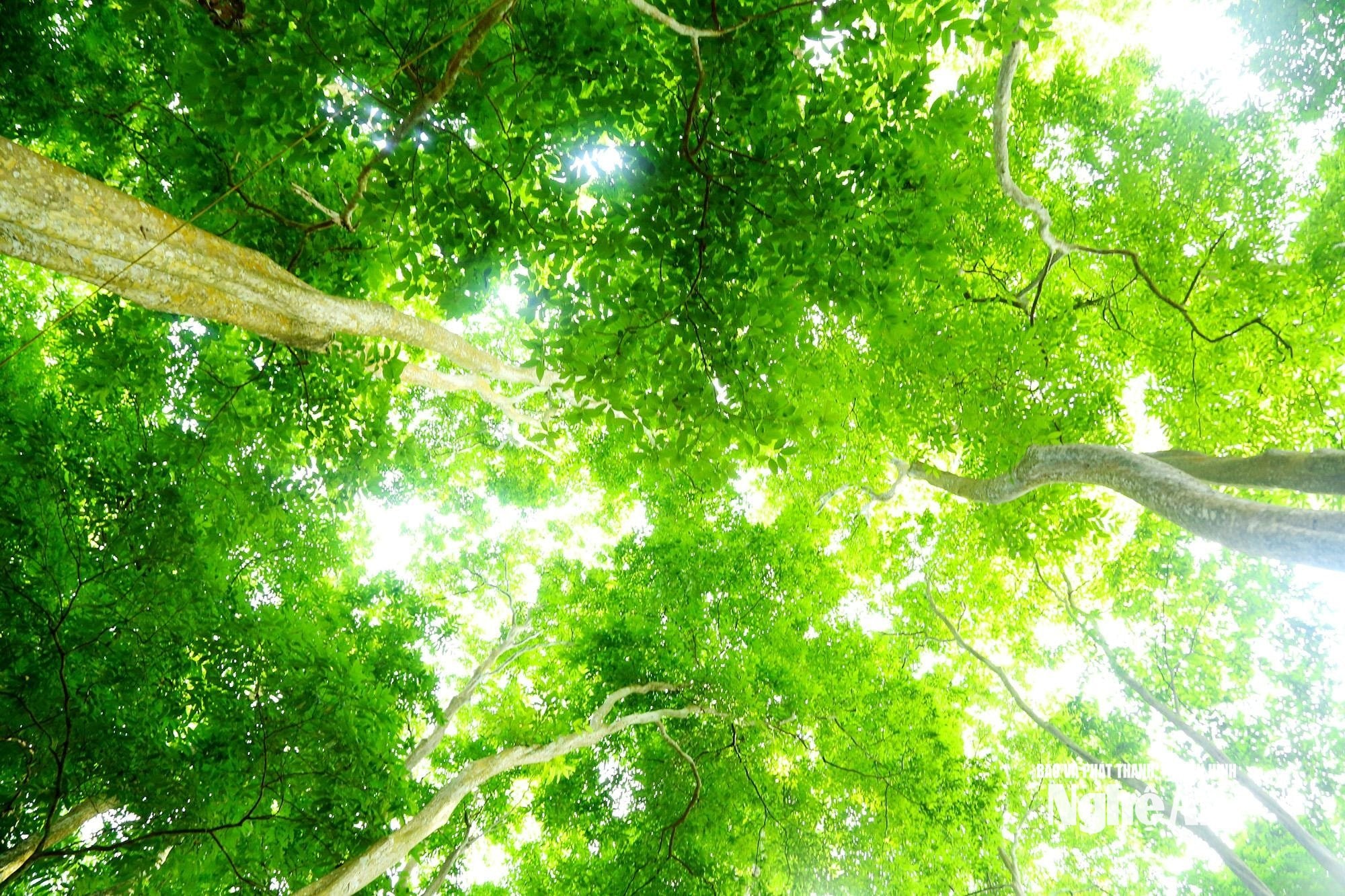 3.ảnh pv