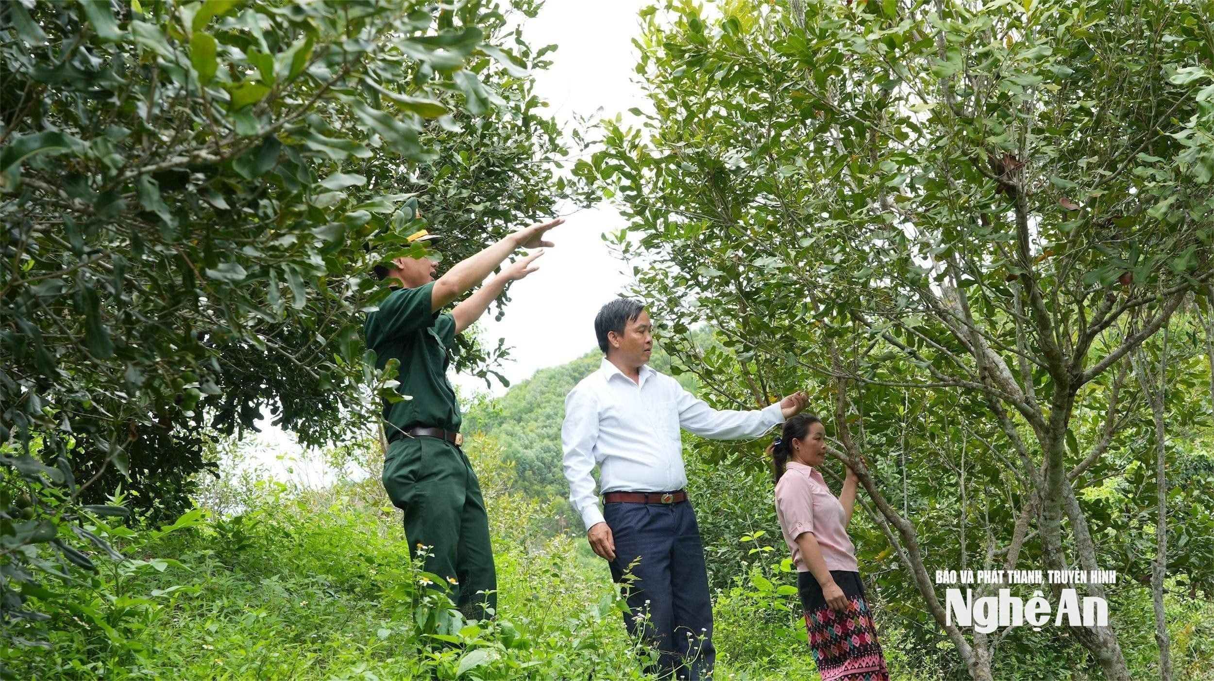 4.ảnh PV