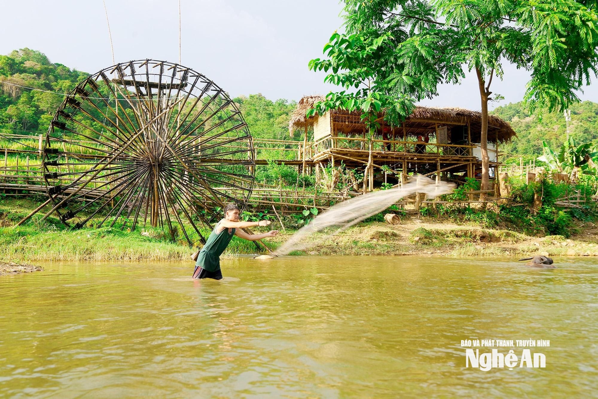 4.ảnh pv