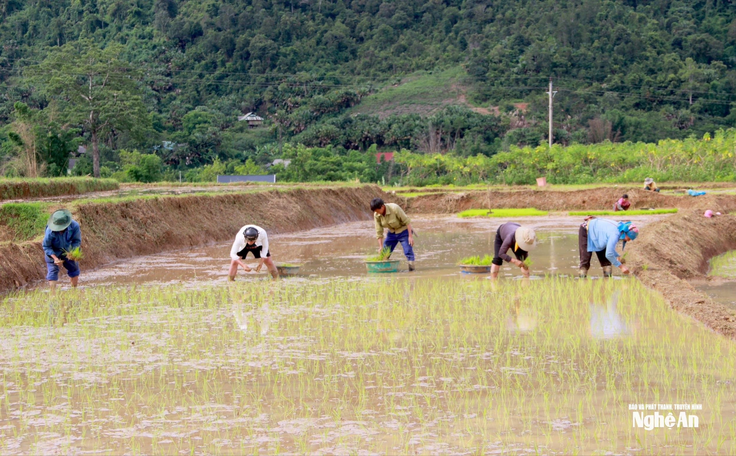 Đại hội Đảng bộ xã Chiêu Lưu đã đề ra phương châm phát triển cho cả nhiệm kỳ “Đoàn kết - Dân chủ - Kỷ cương – Đột phá - Phát triển” để thực hiện thắng lợi mục tiêu xây dựng xã Chiêu Lưu có kinh tế - xã hội phát triển bền vững theo hướng xanh, hài hòa, bản sắc dân tộc; phát triển kinh tế nông thôn gắn với xây dựng nông thôn mới.