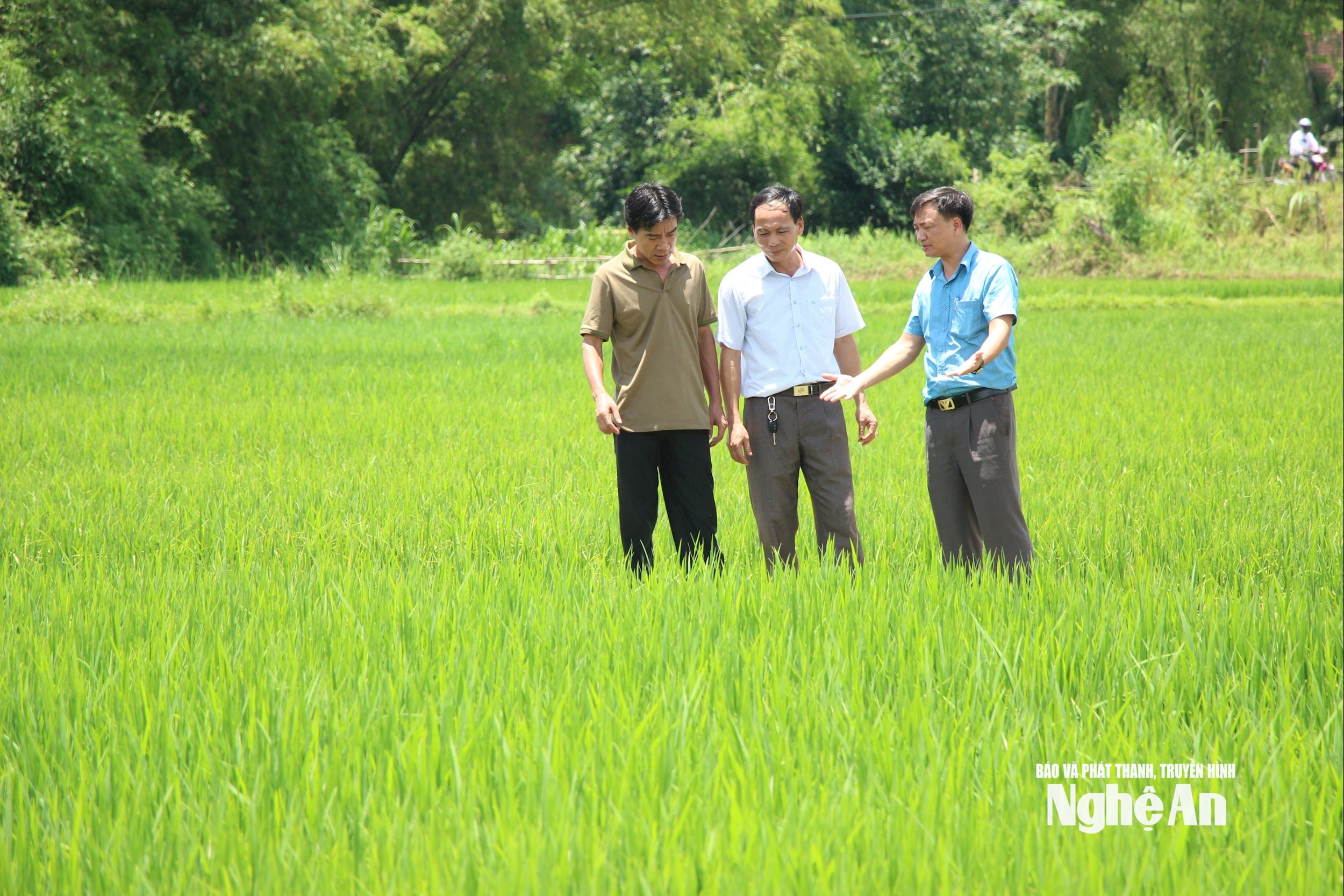Nhà báo Ngô Nhật Lân (bía trái) trong một chuyến công tác tại xã Châu Cường (huyện Quỳ Hợp cũ). Ảnh: Đào Tuấn