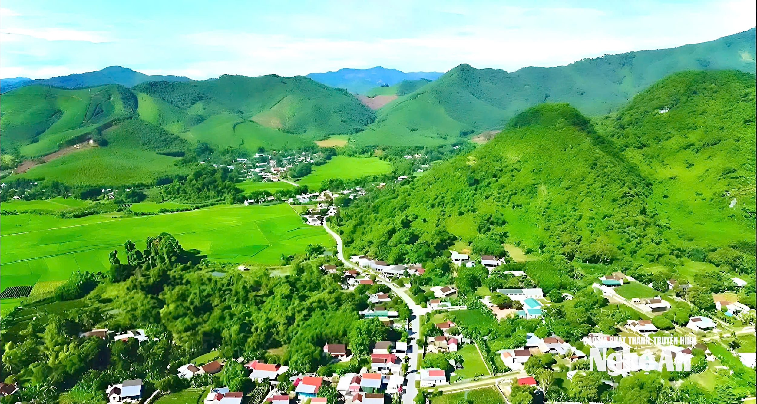 12.ảnh pv