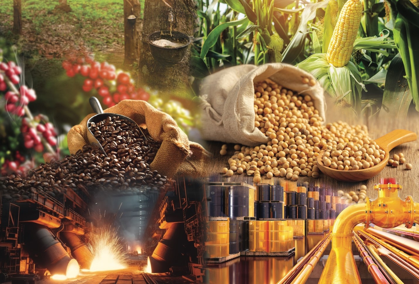 Tin thị trường giá vàng, giá USD, dầu, nông sản, chiều 19/9/2025