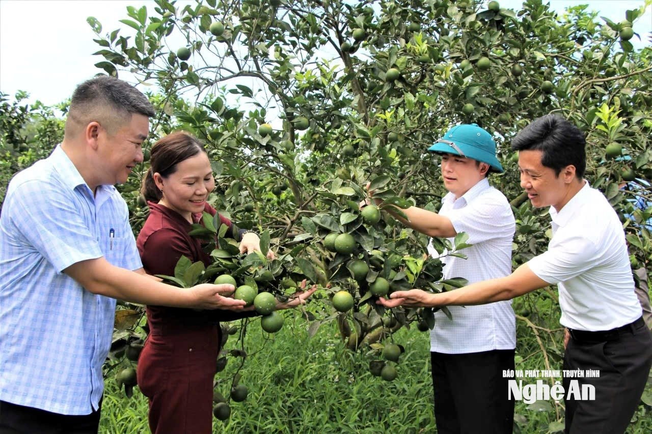 Hạnh Lâm - Ảnh: TP7028794597405_ae7de8696d5731ef367ddaee2d954dde
