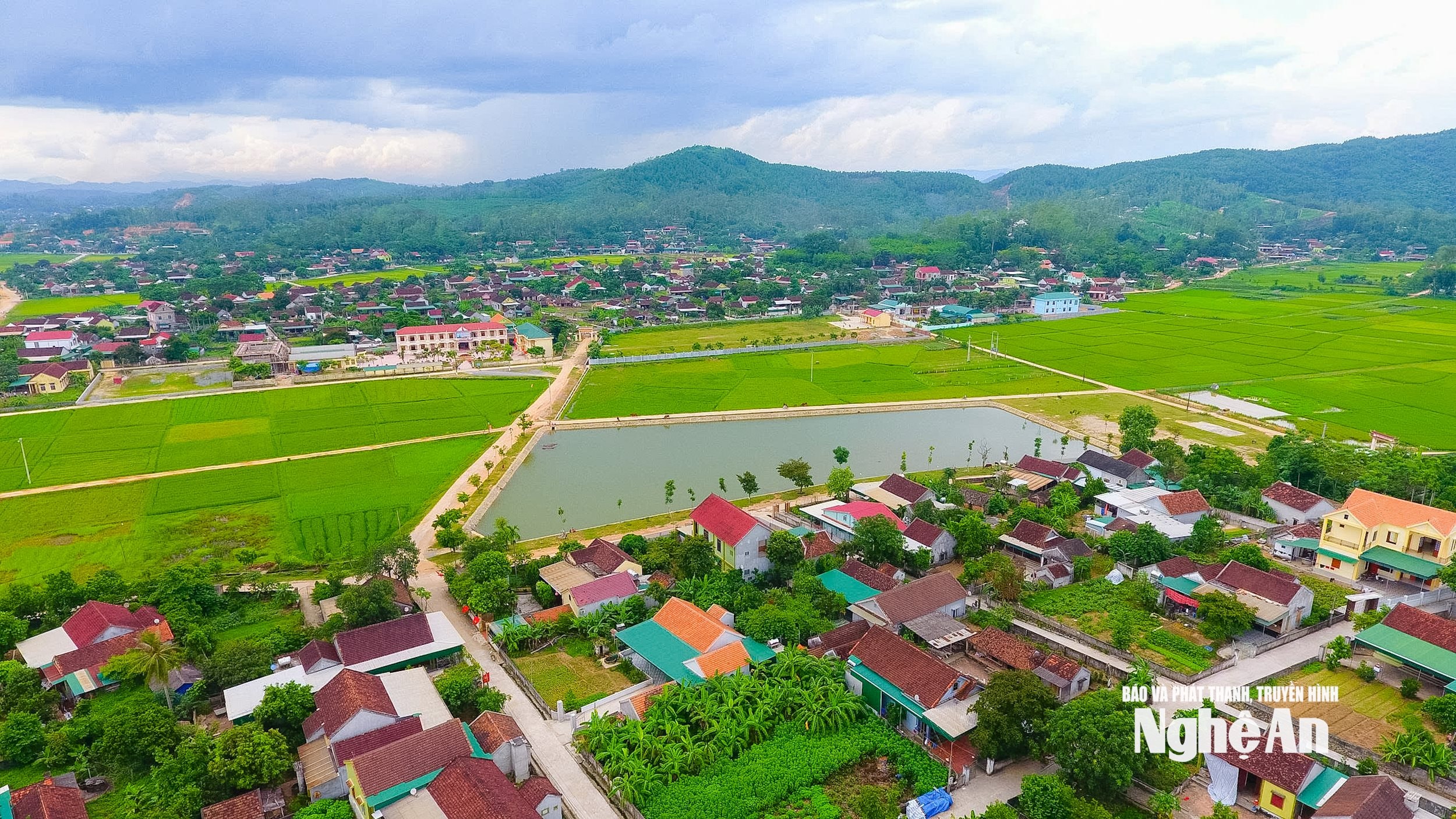  lương sơn 11