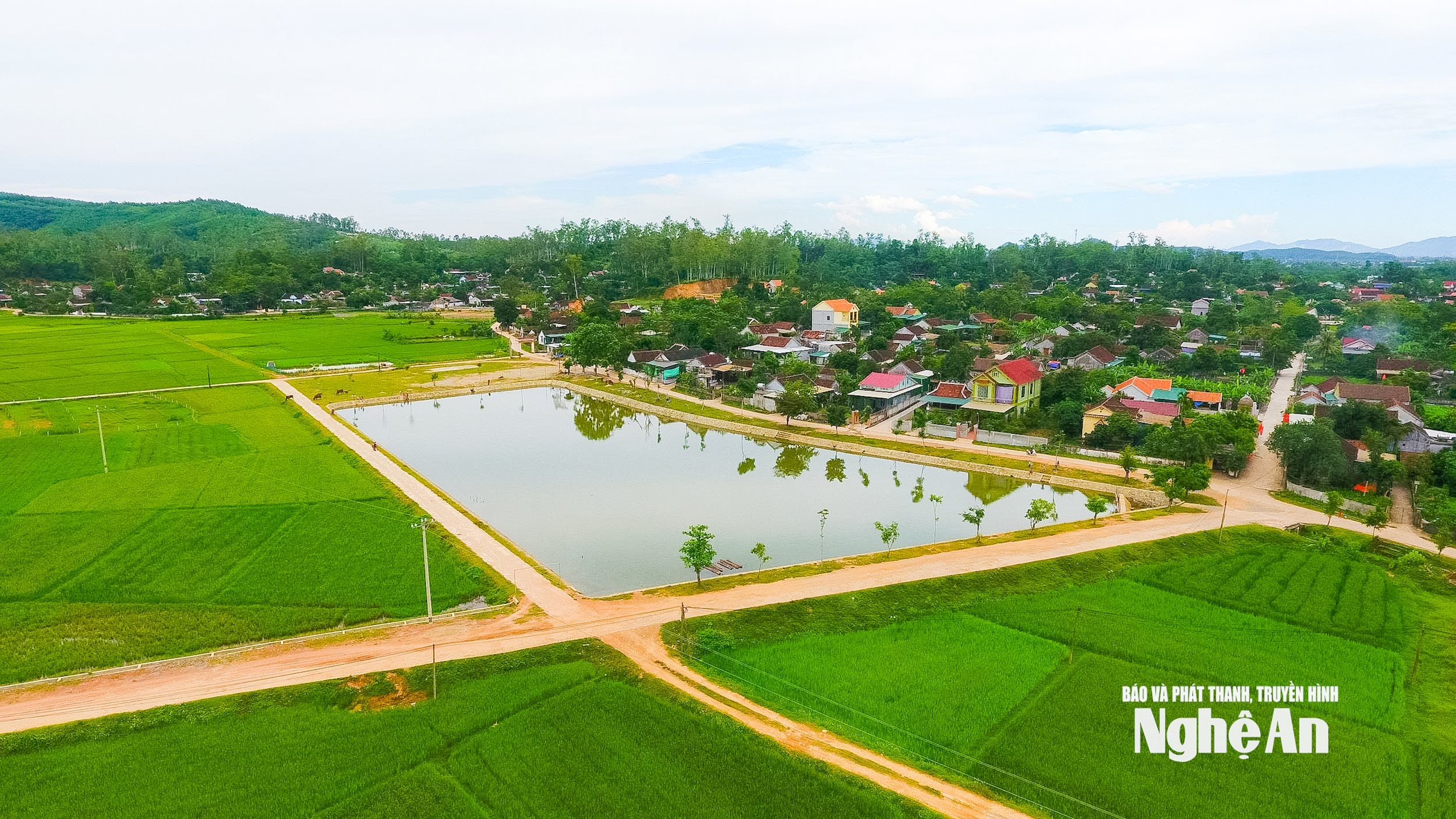  lương sơn 9