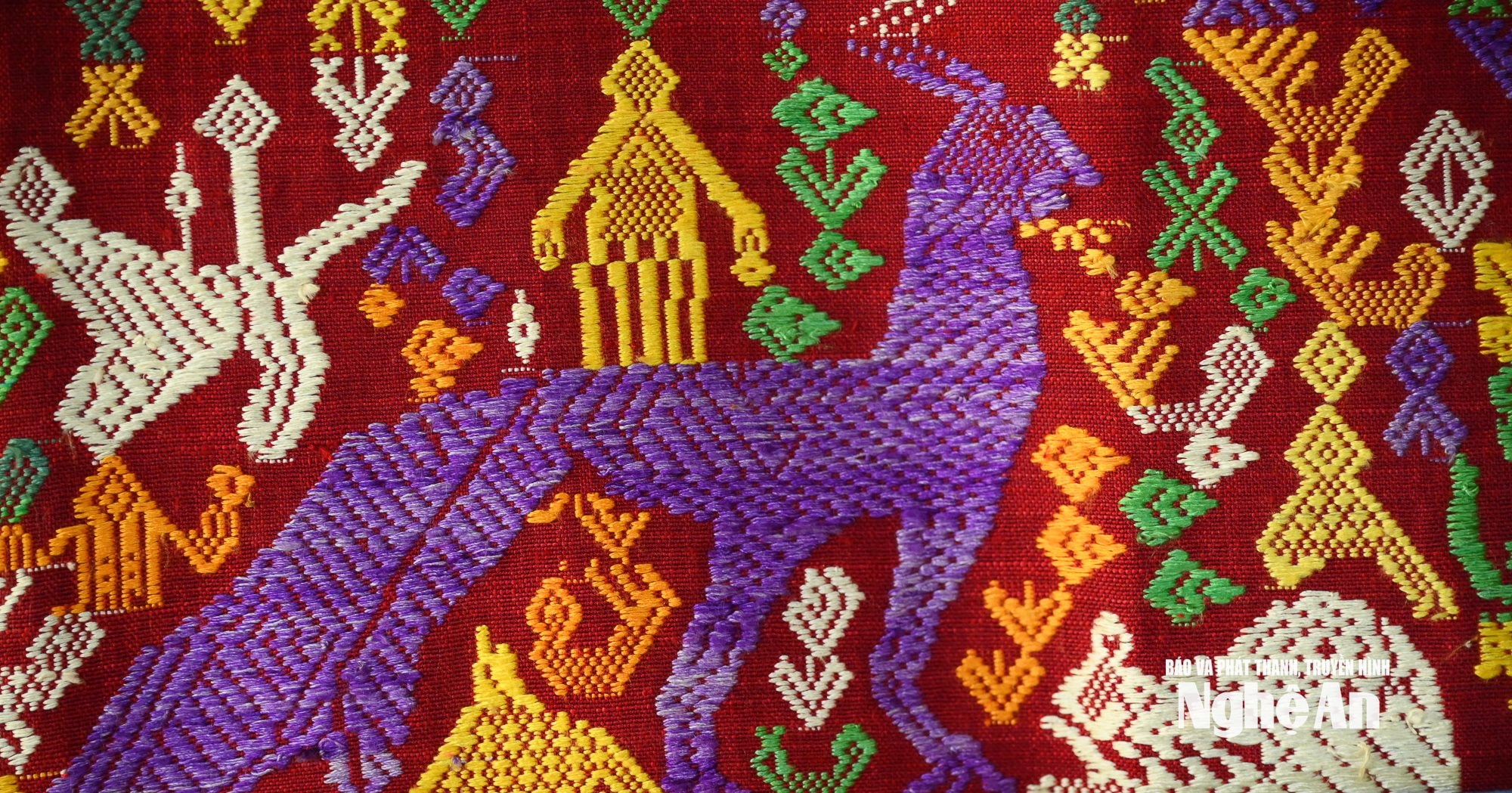 Quế Phong-19