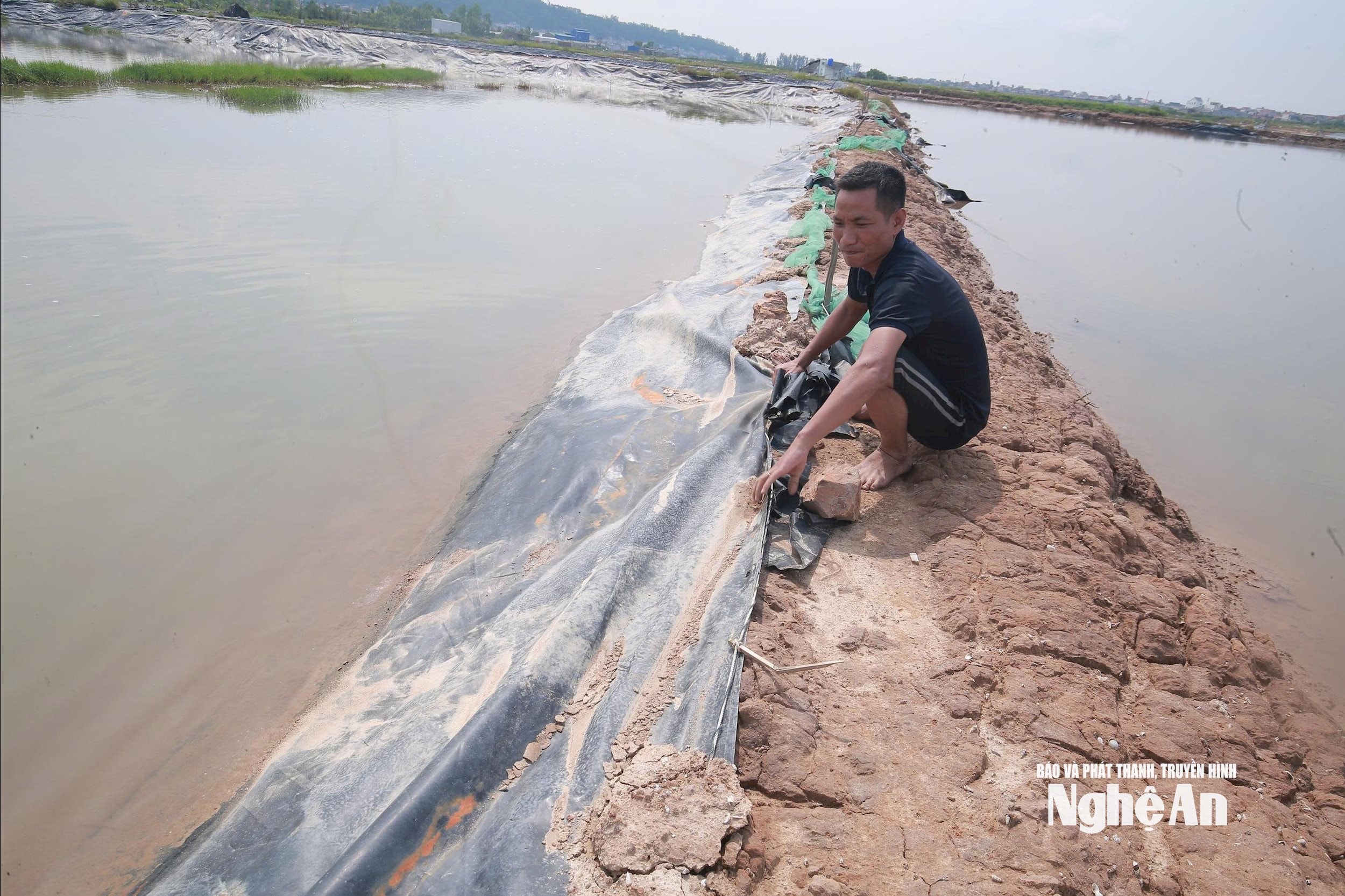  bão số 9- Ảnh: TP7040804796513_196a0a5f4f9fb7b33a690ffda520107e