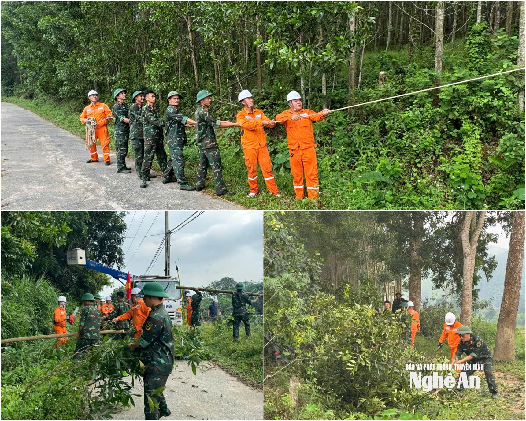 Lực lượng quân đội phối hợp với Công ty Điện lực Nghệ An thực hiện hiệu quả công tác giải phóng hành lang an toàn lưới điện