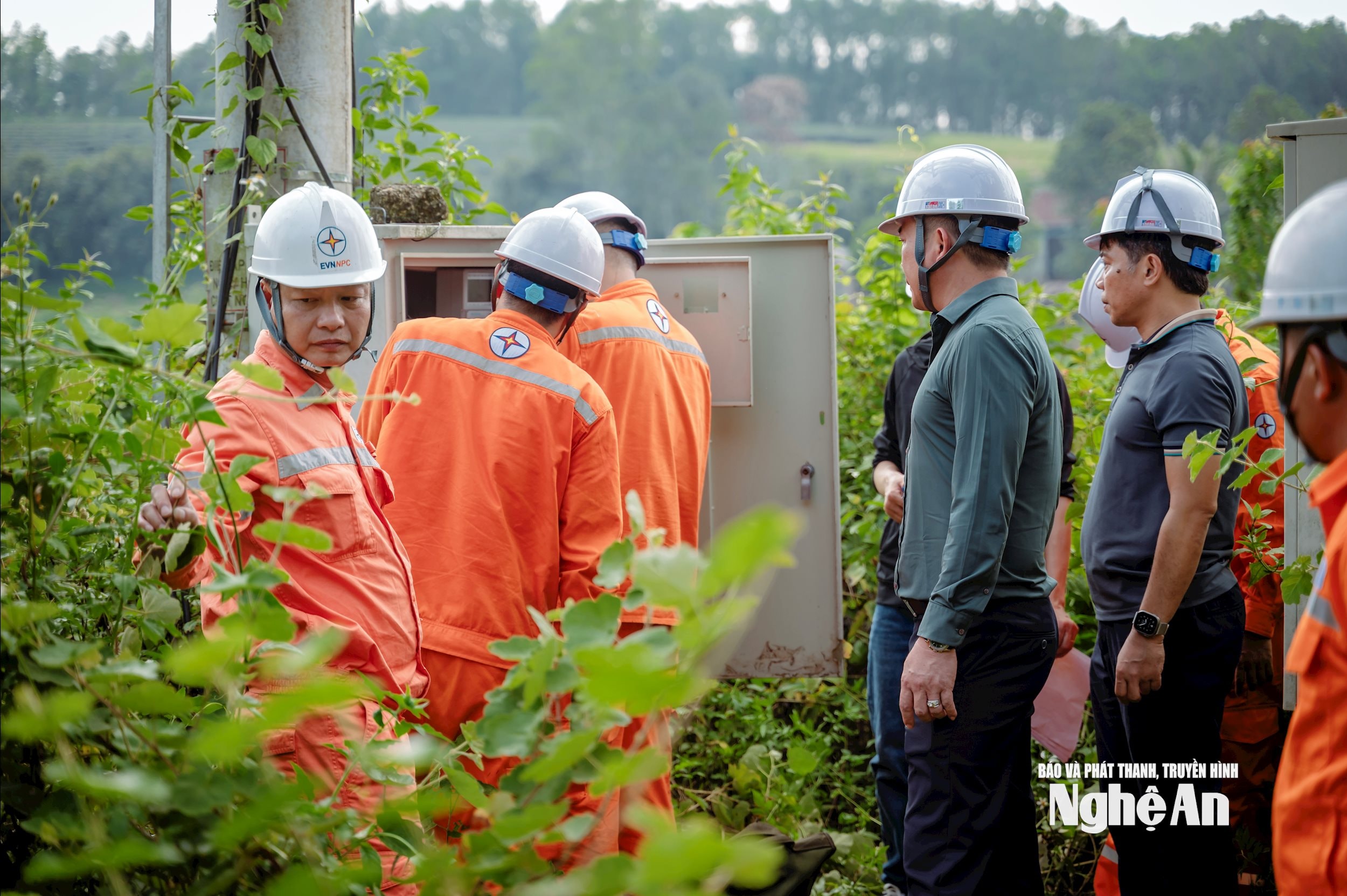 Ông Phạm Công Thành - Giám đốc Công ty Điện lực Nghệ An trực tiếp xuống hiện trường, chỉ đạo, động viên và kiểm tra việc thực hiện hiệu quả chương trình ra quân giải phóng hành lang an toàn lưới điện cao áp và xử lý khiếm khuyết - giảm tổn thất điện năng trên lưới điện, đường dây 375E15.5 thuộc Đội QLĐLKV Thanh Chương quản lý.