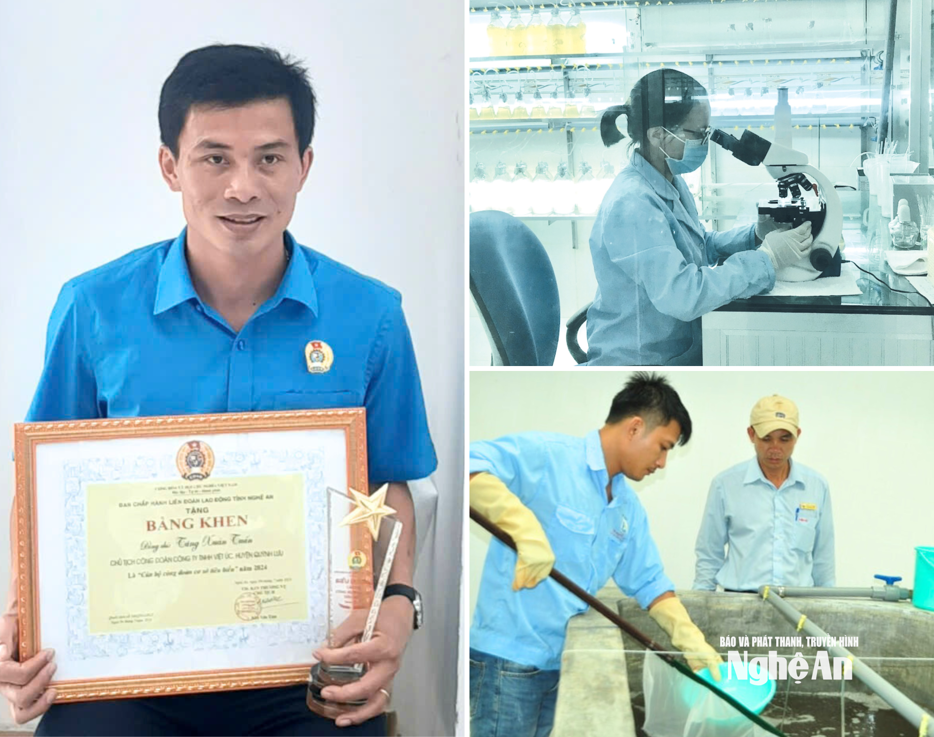 tăng xuân tuấn Ảnh CSCC