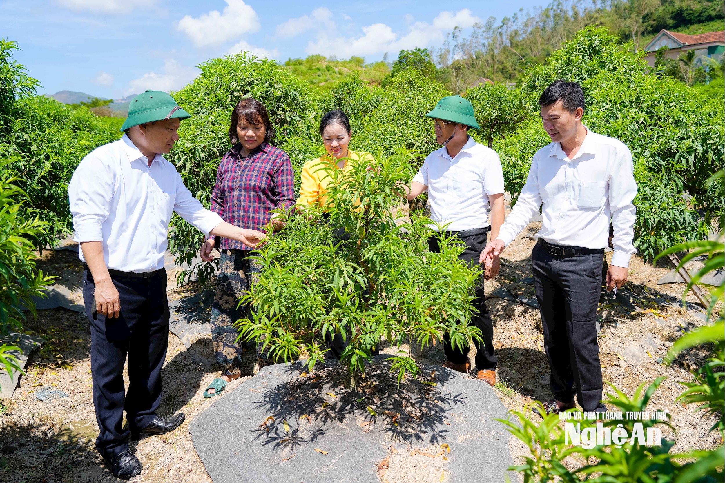  kiểm tra mô hình