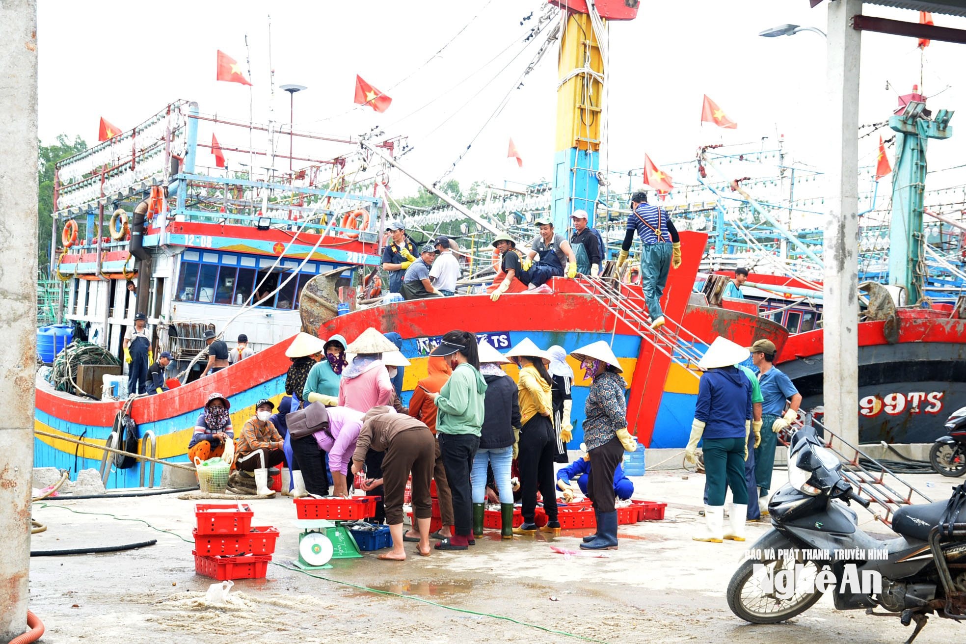 Velkokapacitní rybářské lodě jsou pro rybáře velkým přínosem a vytvářejí pracovní místa pro desítky pracovníků, takže účast na pojištění je pro rybáře velmi důležitá. Foto: Xuan Hoang