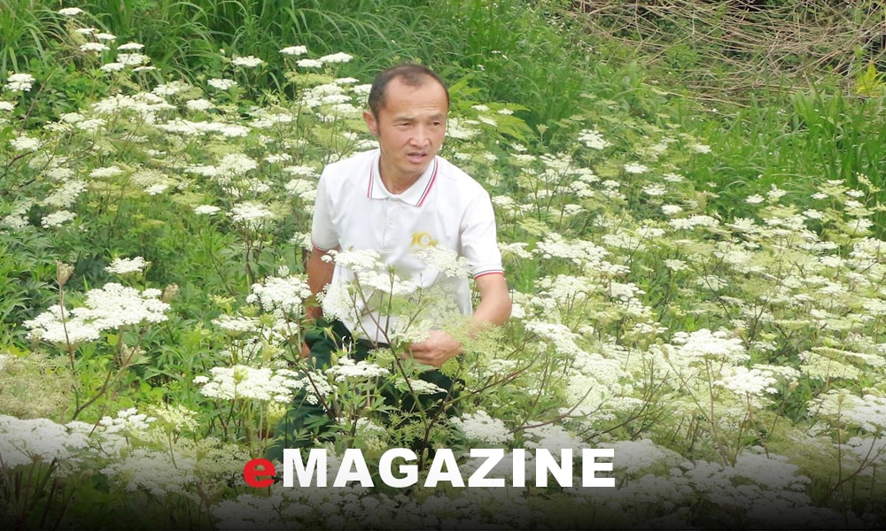 Người 