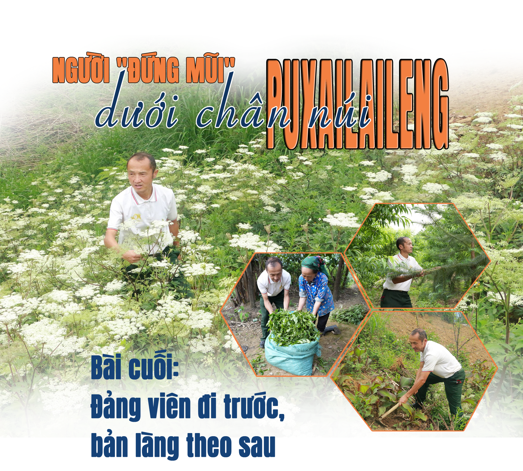 tieu de bai2 - ngang ok