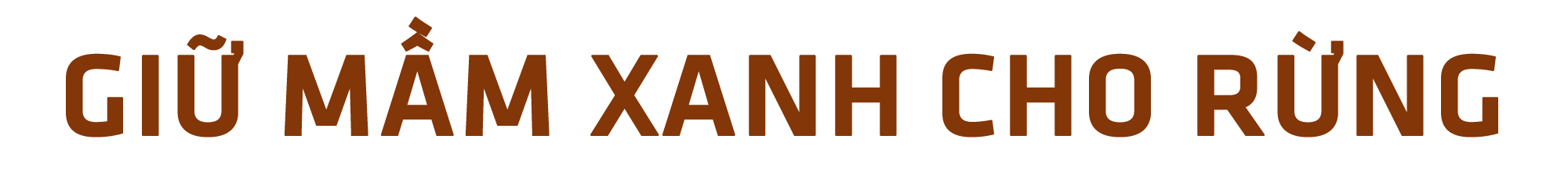 titphu1(1).png